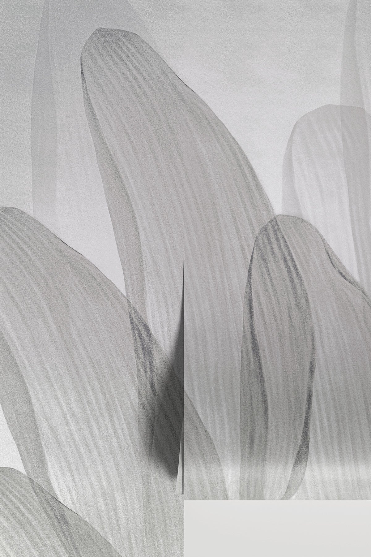 Elowen / Graphite wall mural