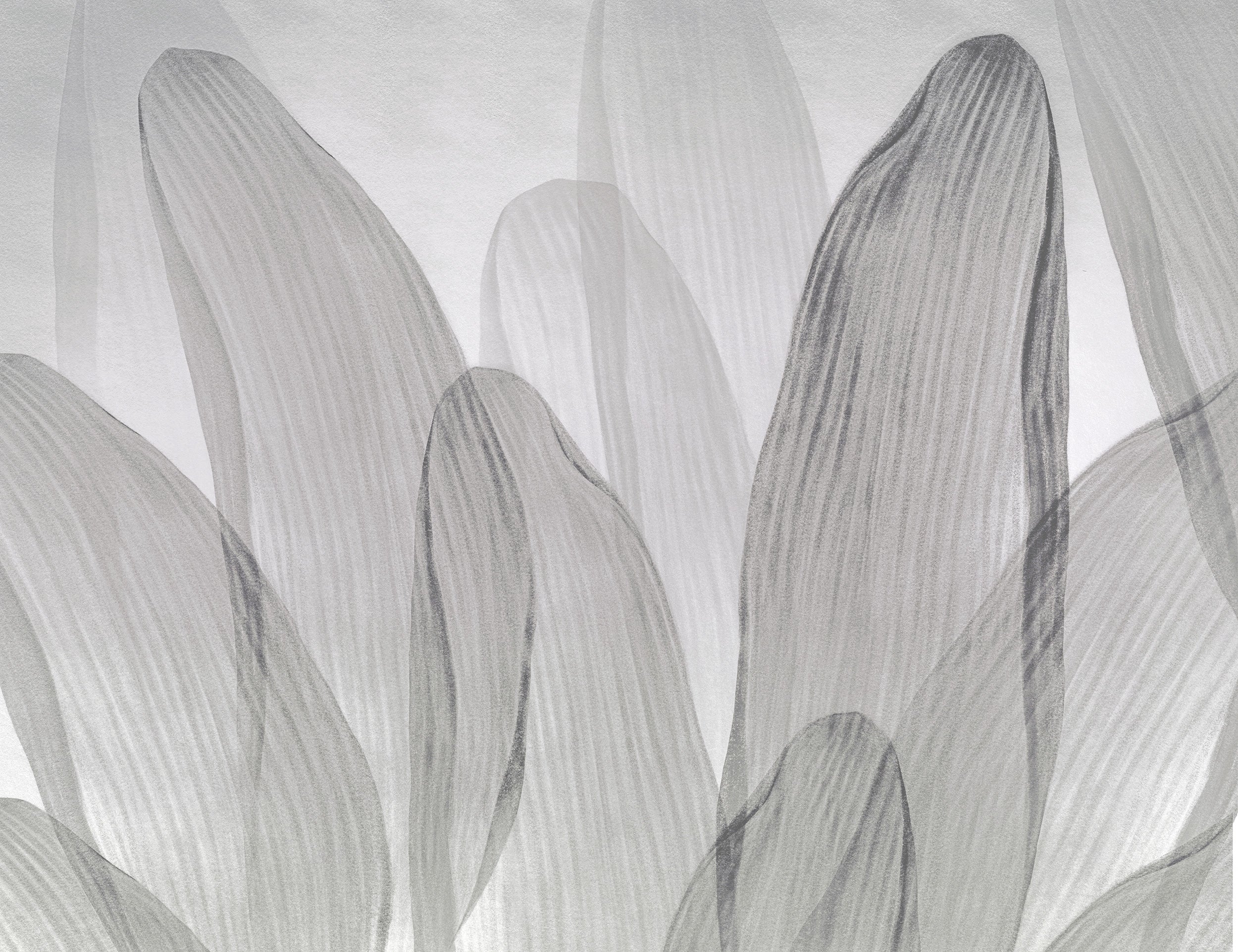 Elowen / Graphite wall mural