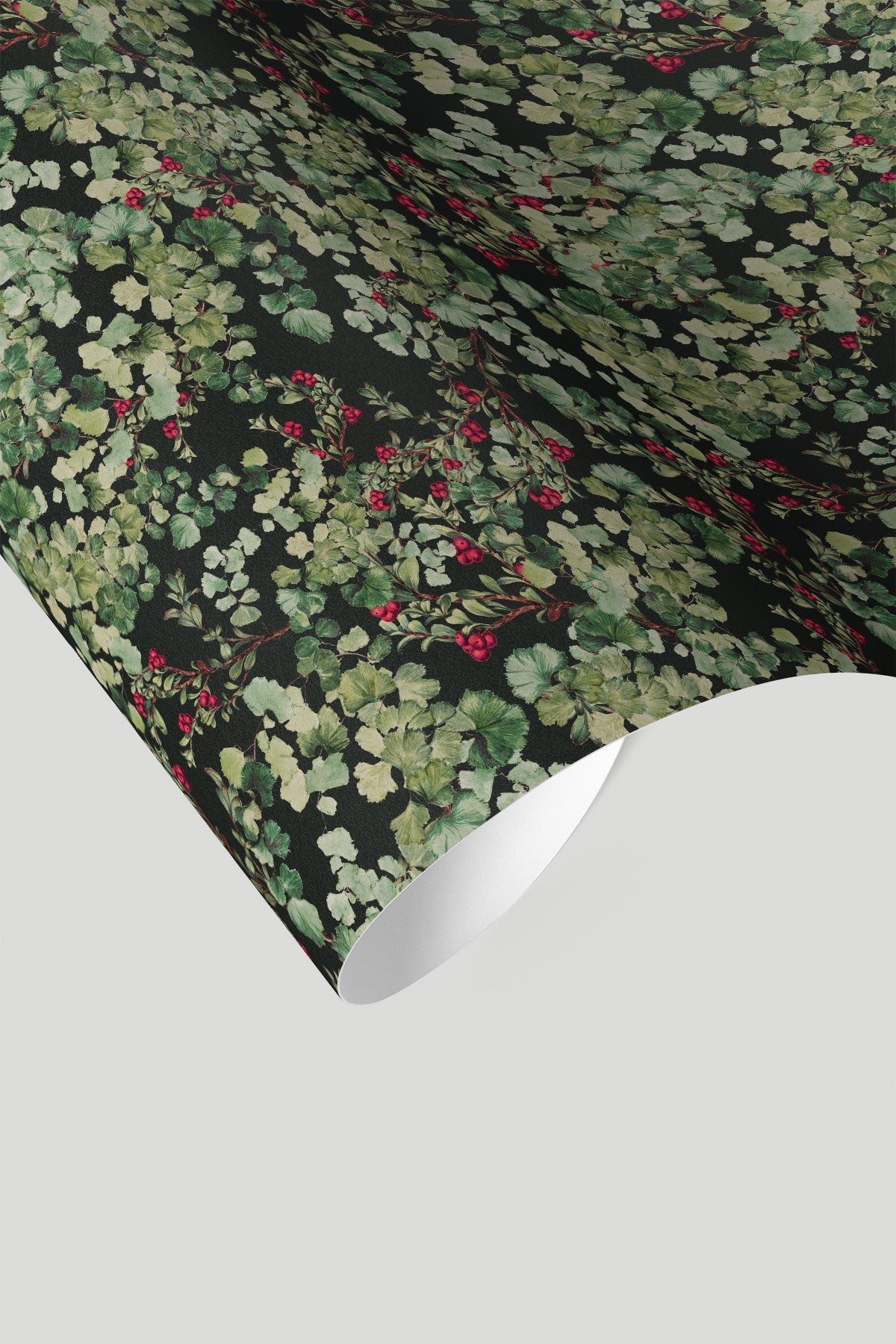 Foliage / Sage