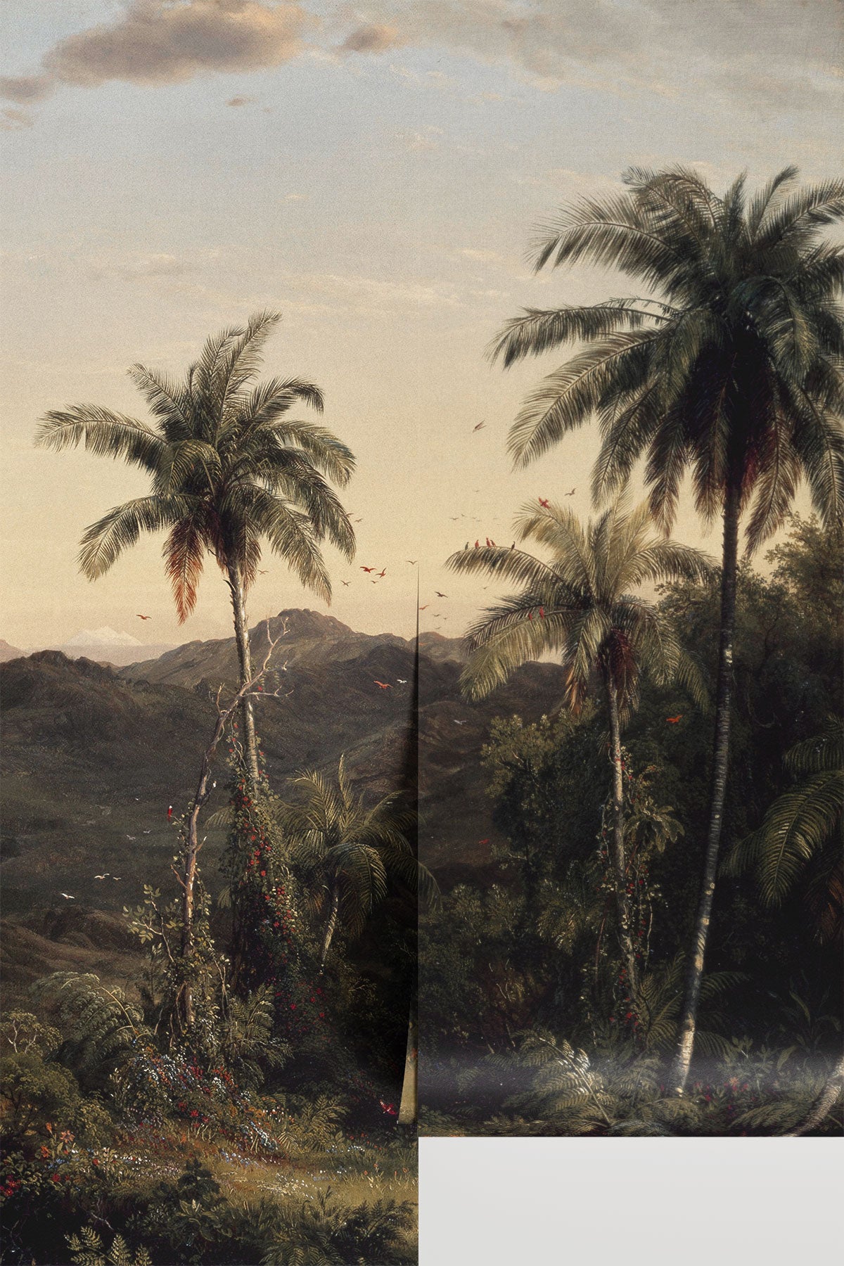 Cotopaxi Tropical