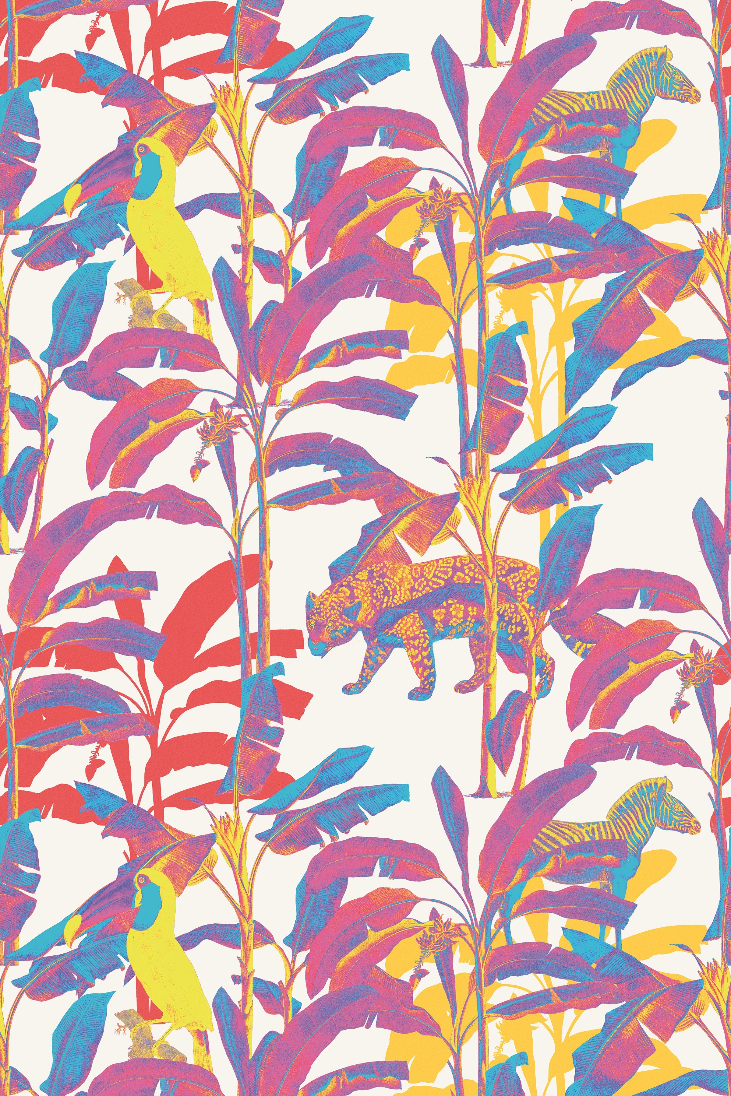 Funk in Congo / Pink