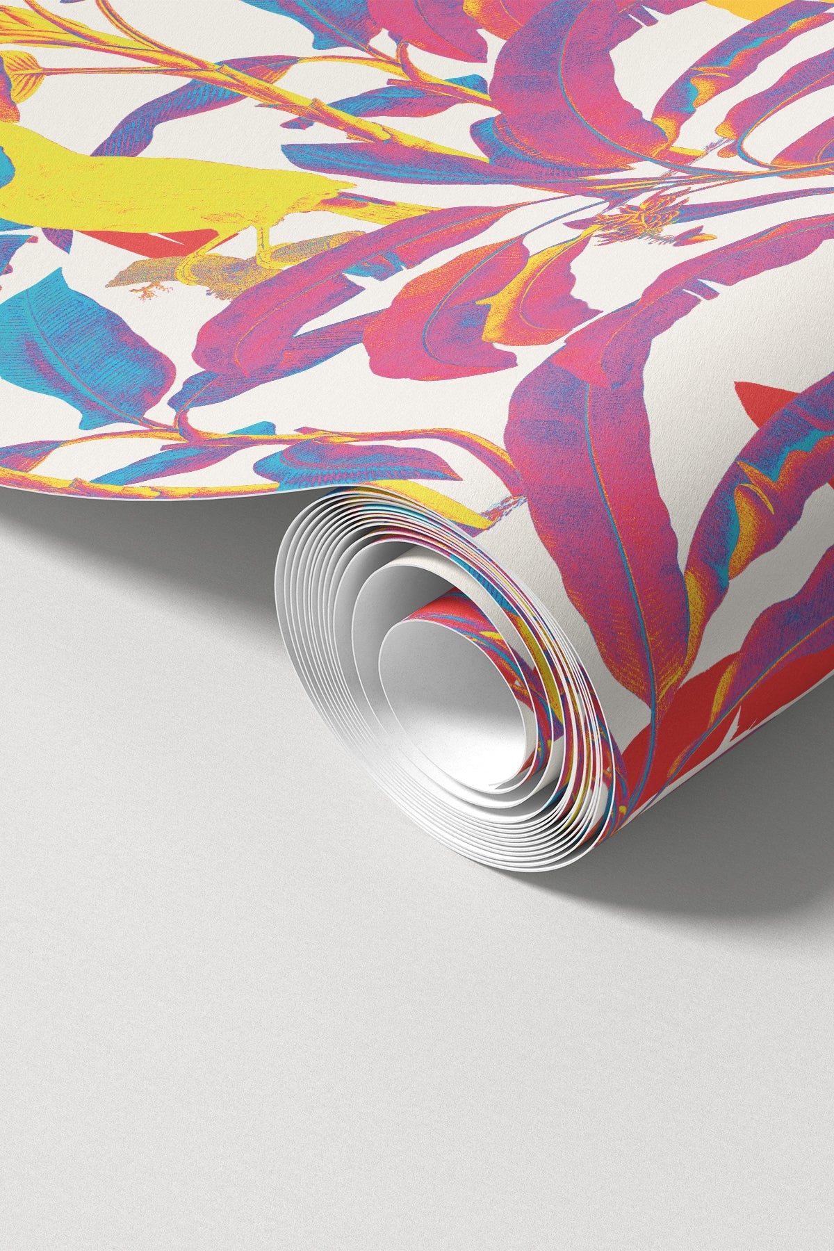 Funk in Congo / Pink