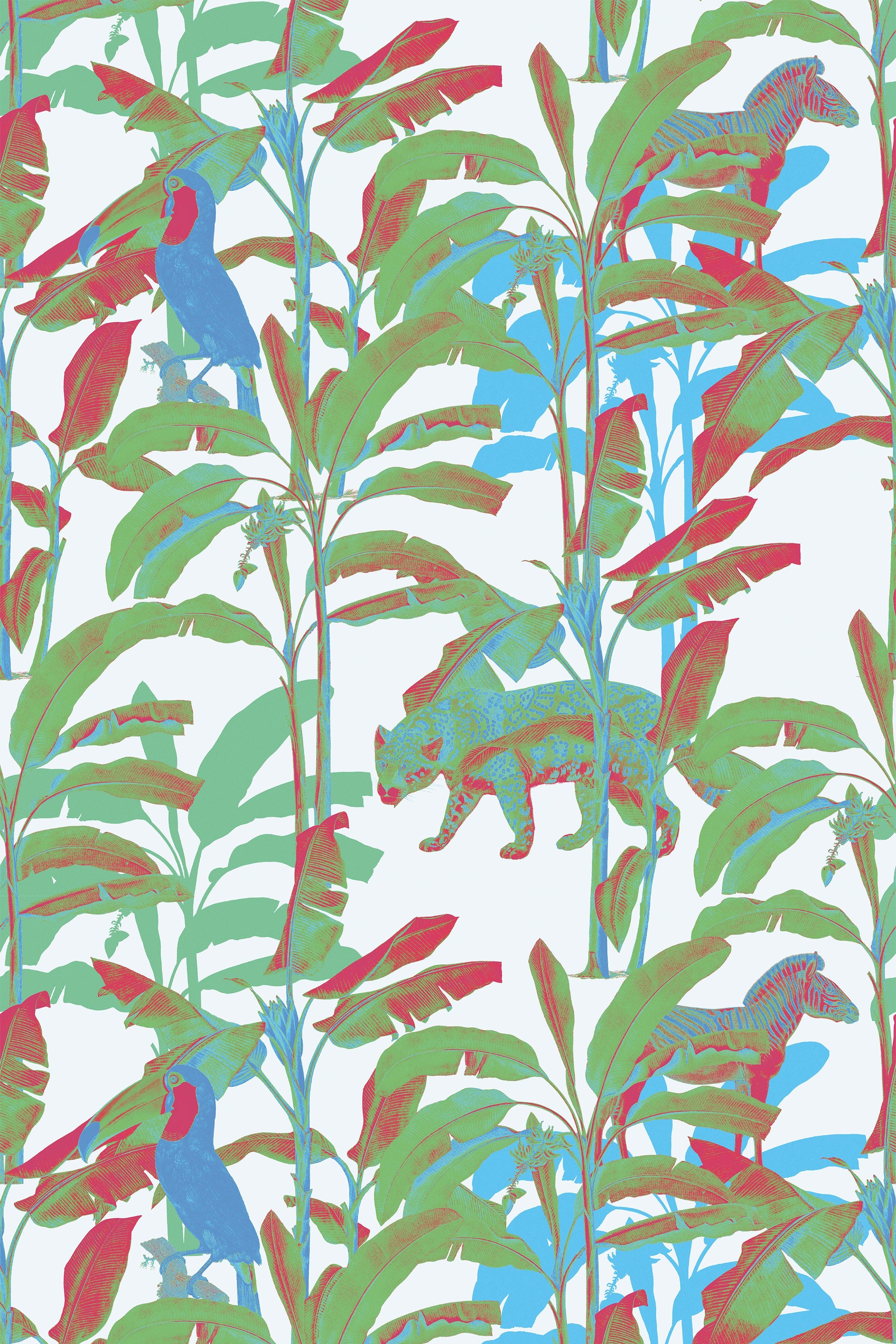 Funk in Congo / Green