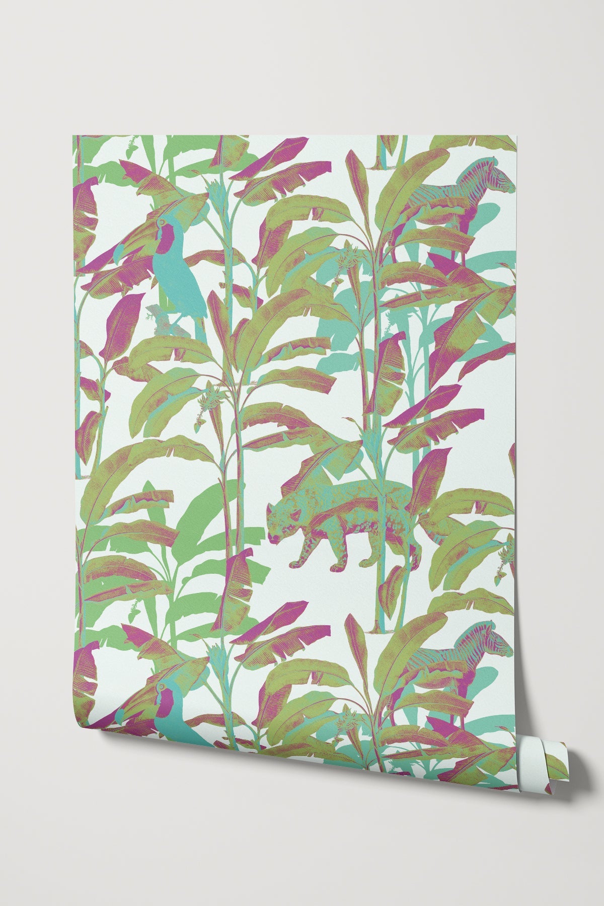 Funk in Congo / Sage