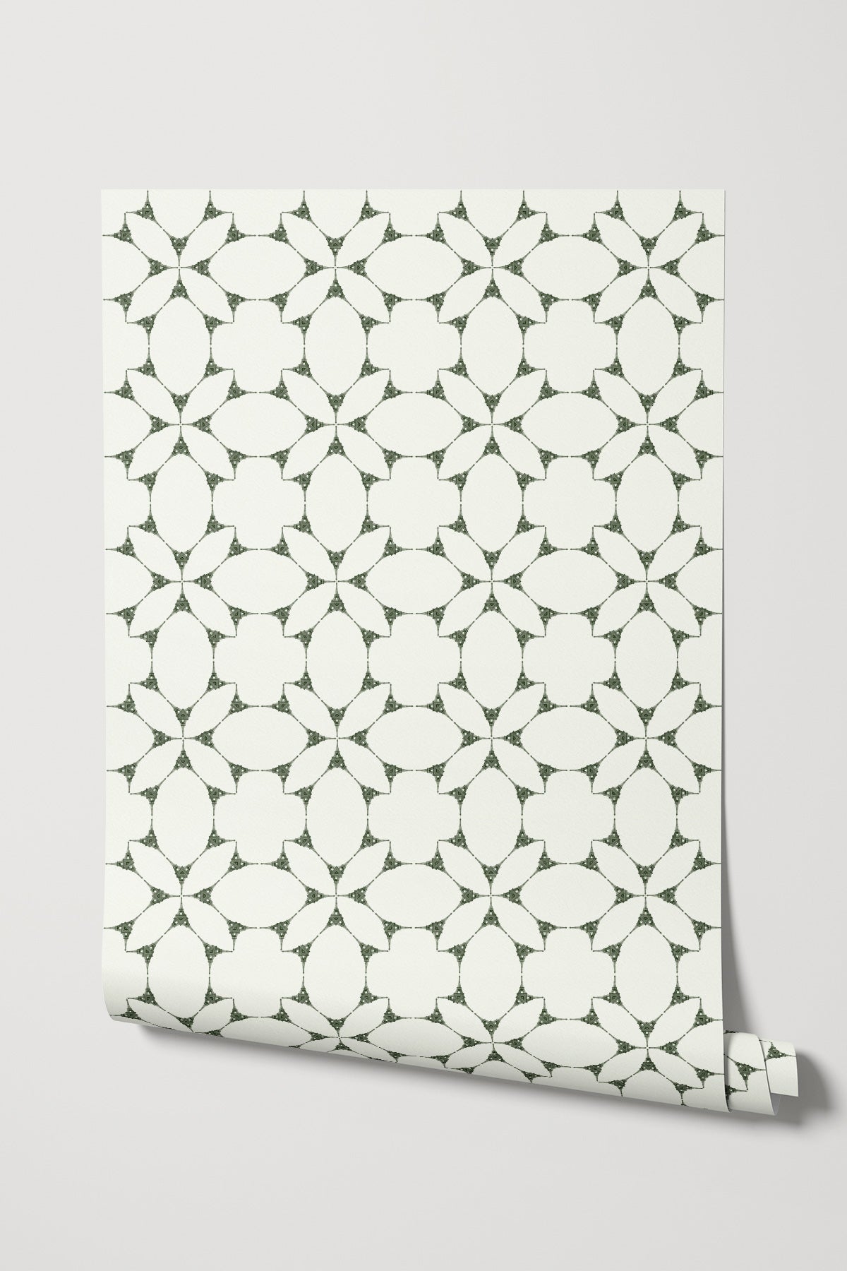 Gustave Light / Olive