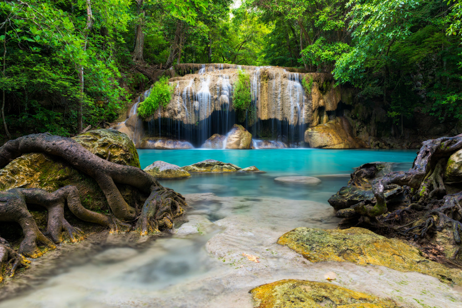 Jungle Waterfall Oasis Mural Wallpaper