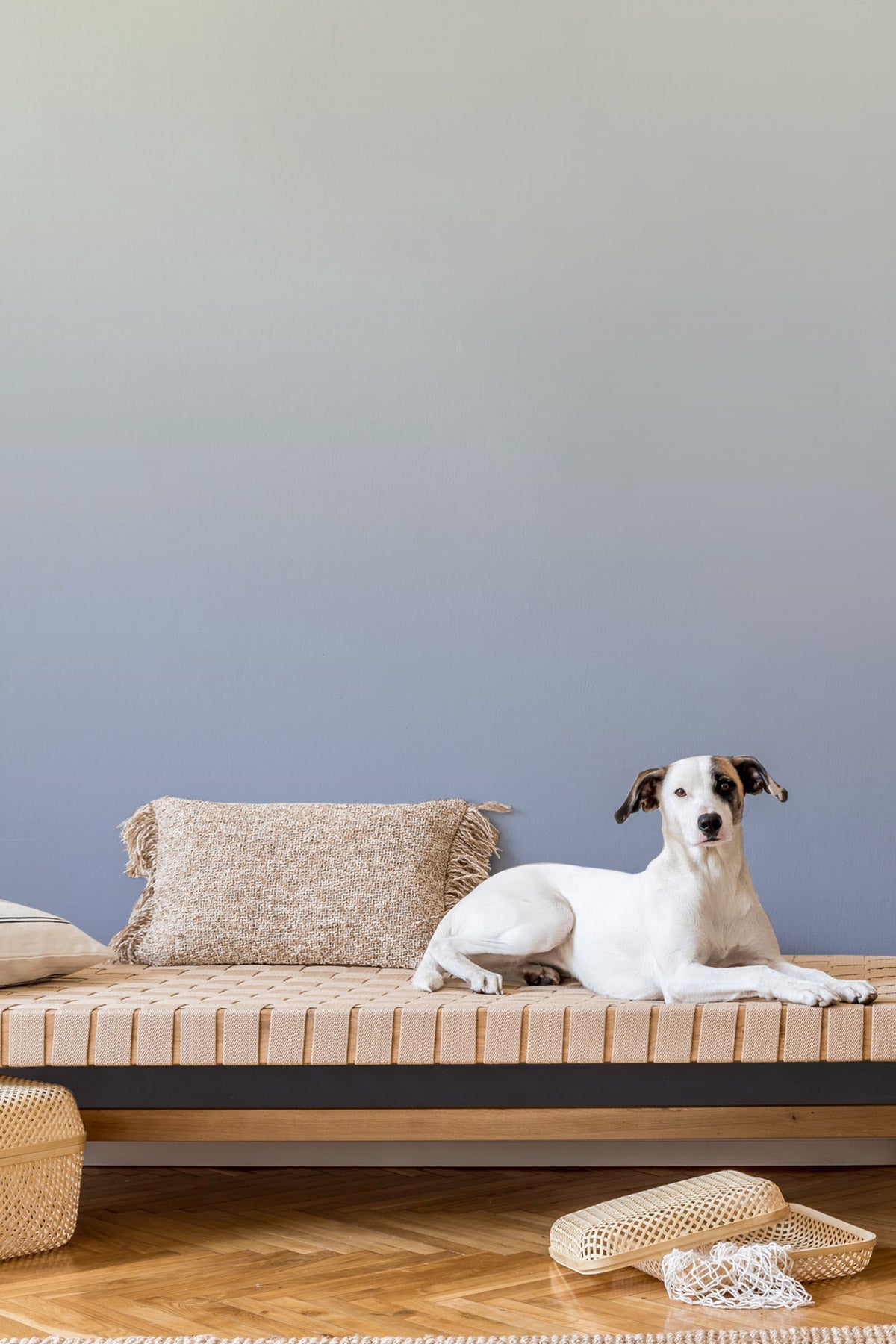 Lavender Field wallpaper in a room