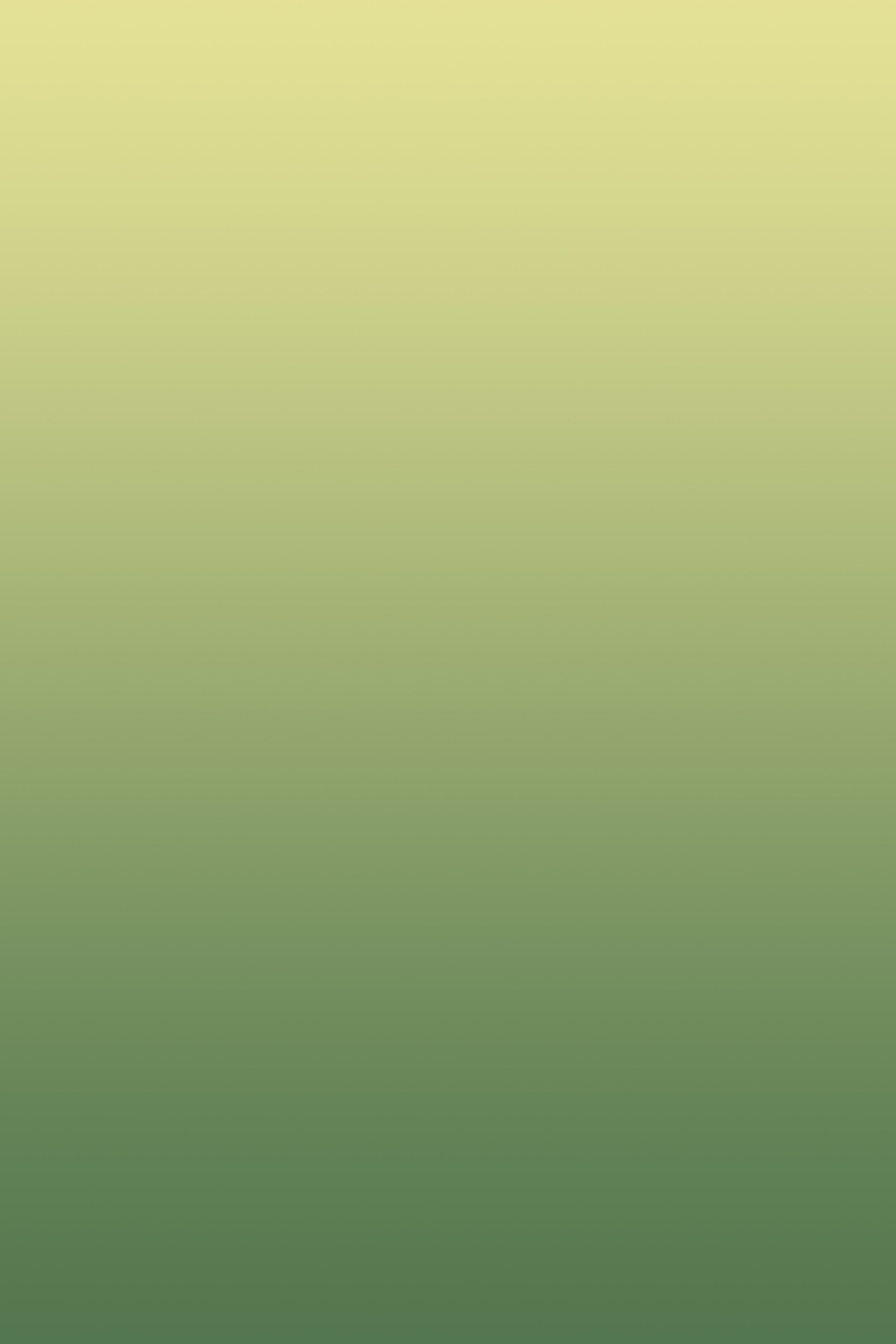 Detail of Lemony Lime Wallpaper