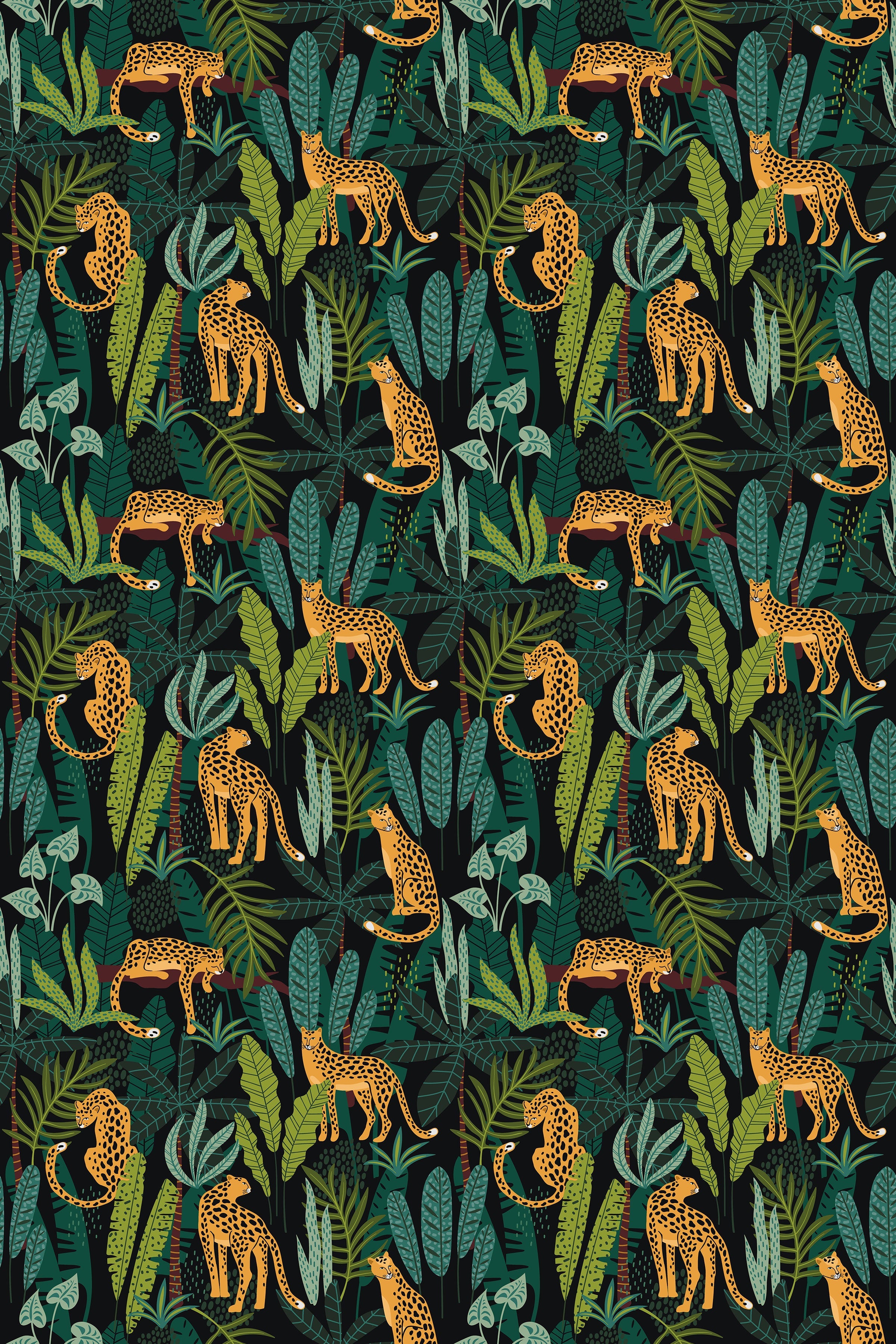 Leopards in the jungle / Dark