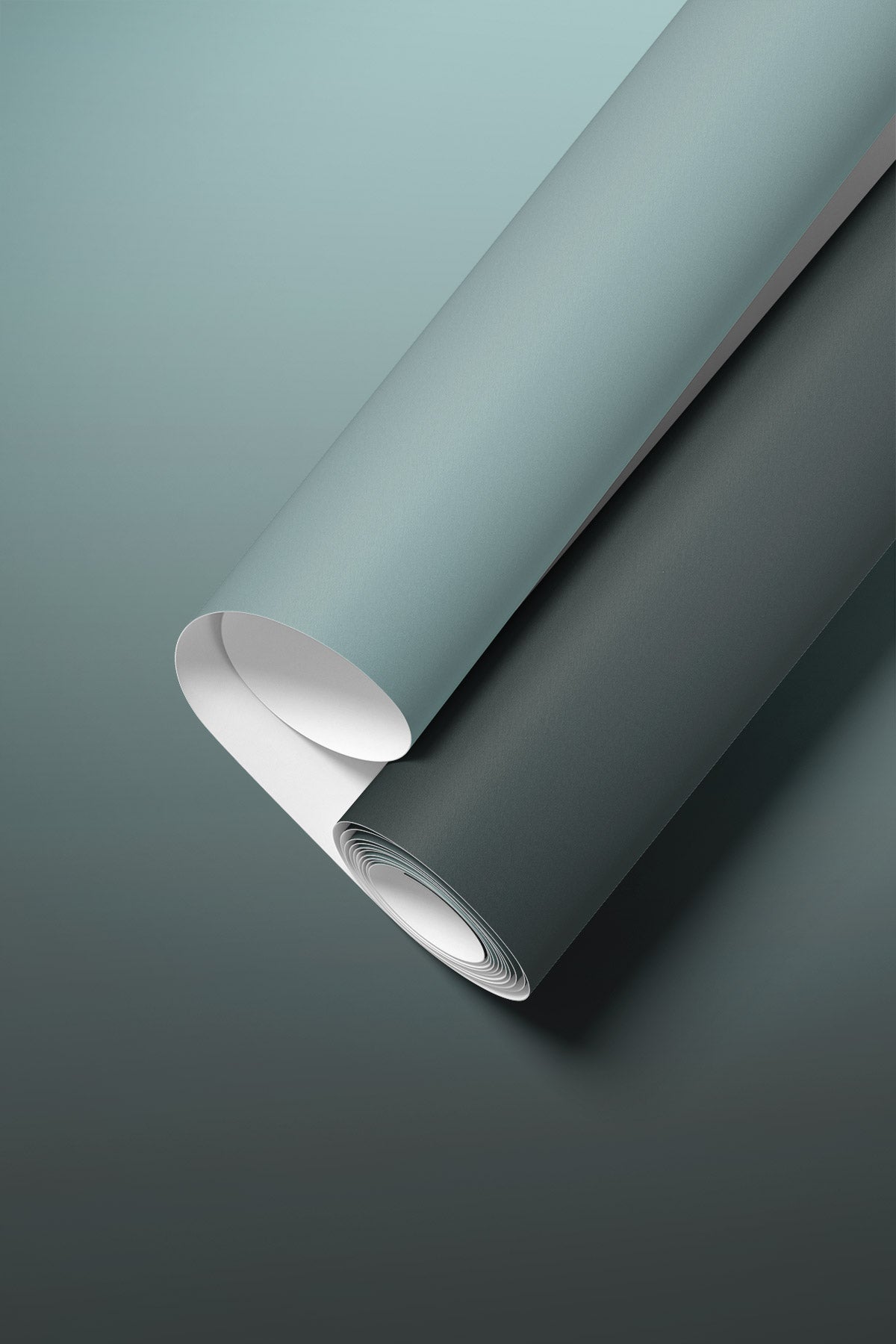 Closeup of Mystic Forest Wallpaper