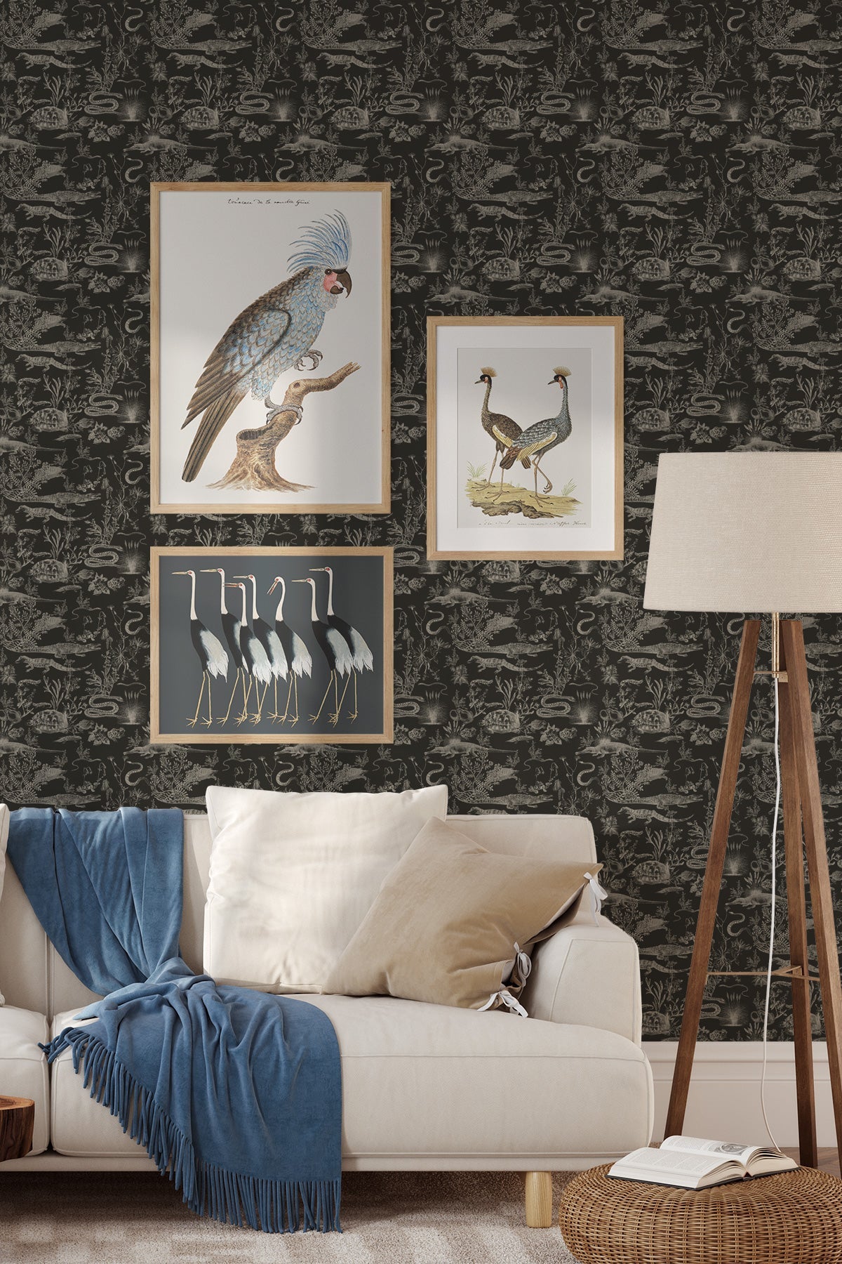 New Orleans Dark / Charcoal