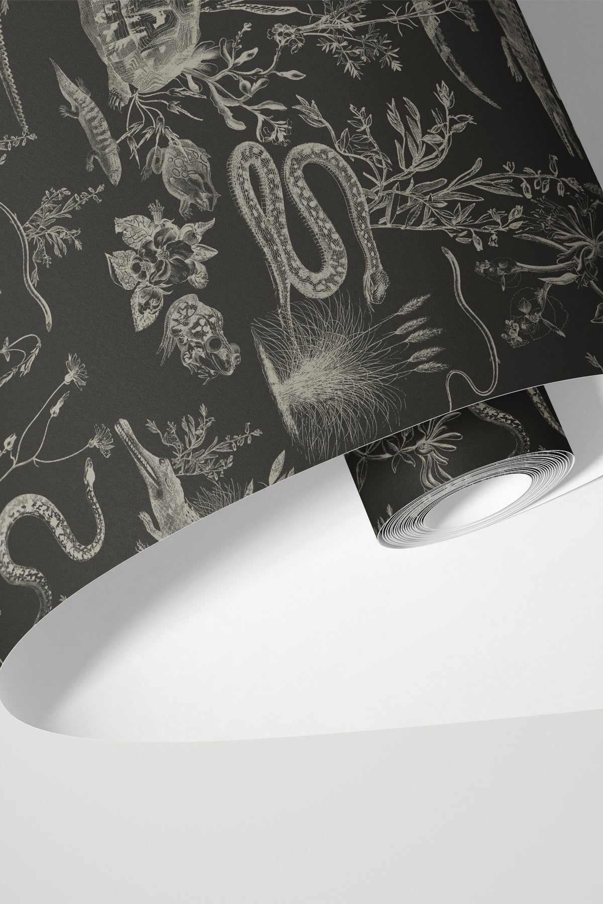 New Orleans Dark / Charcoal