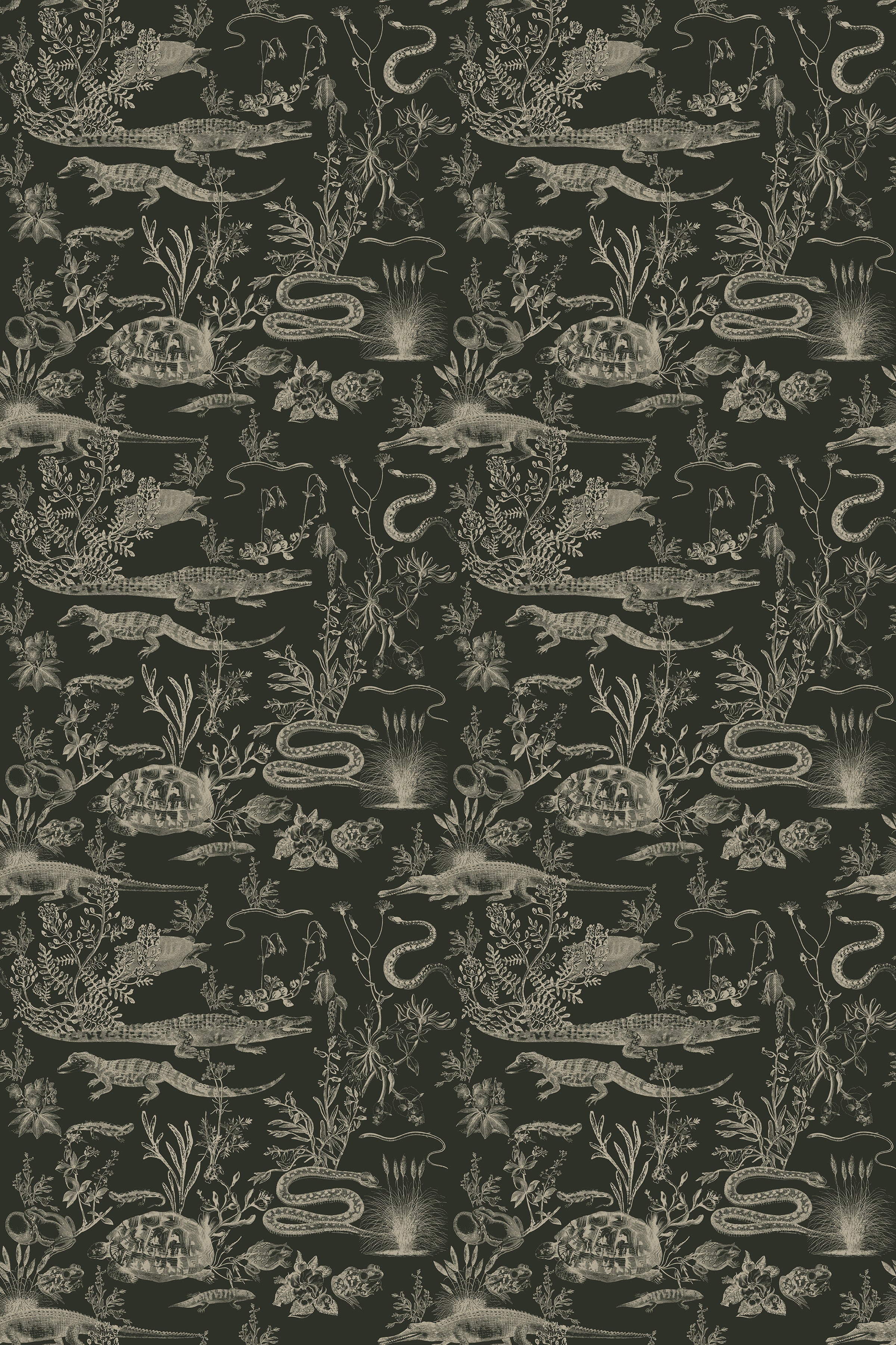 New Orleans Dark / Olive