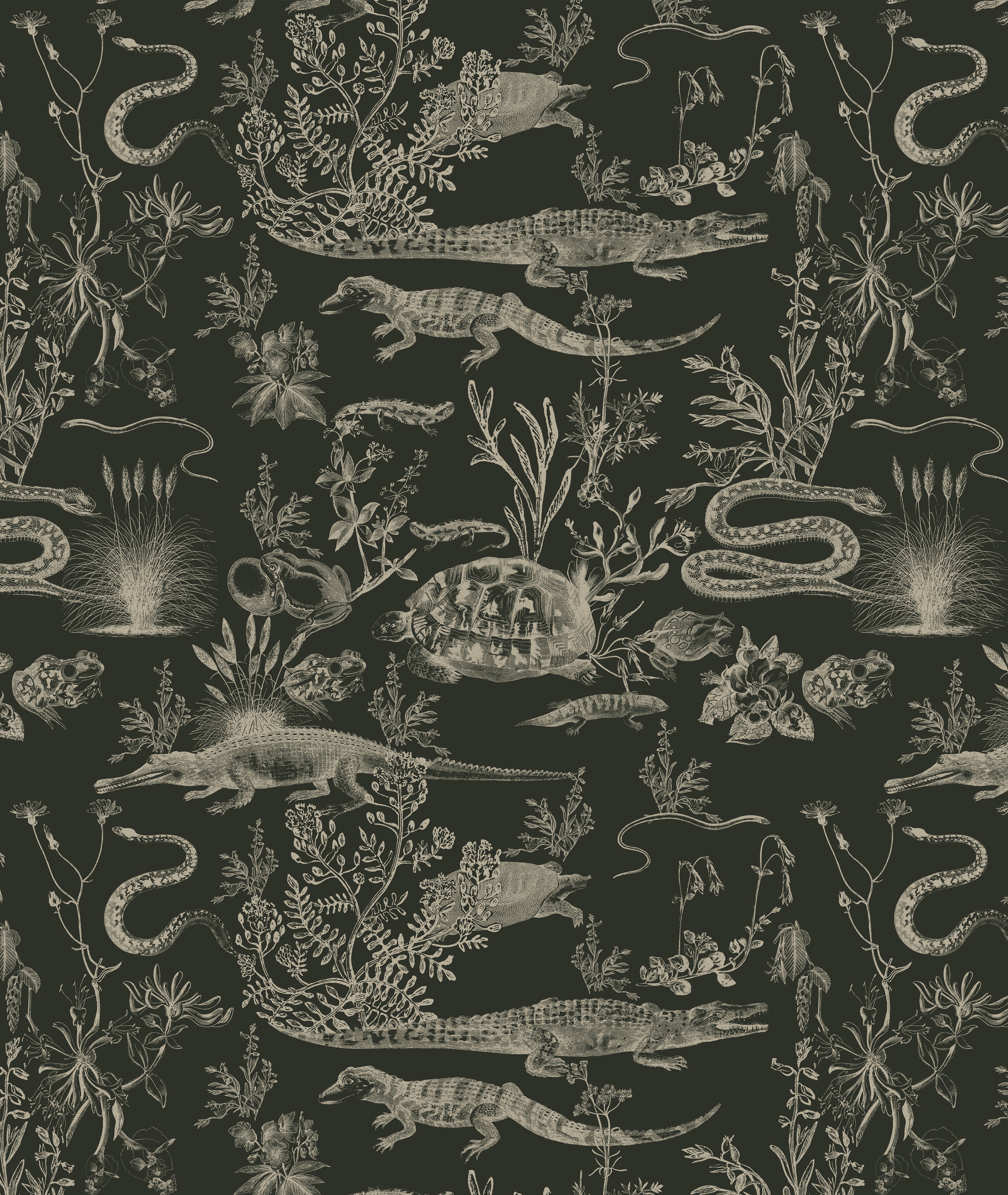 New Orleans Dark / Olive