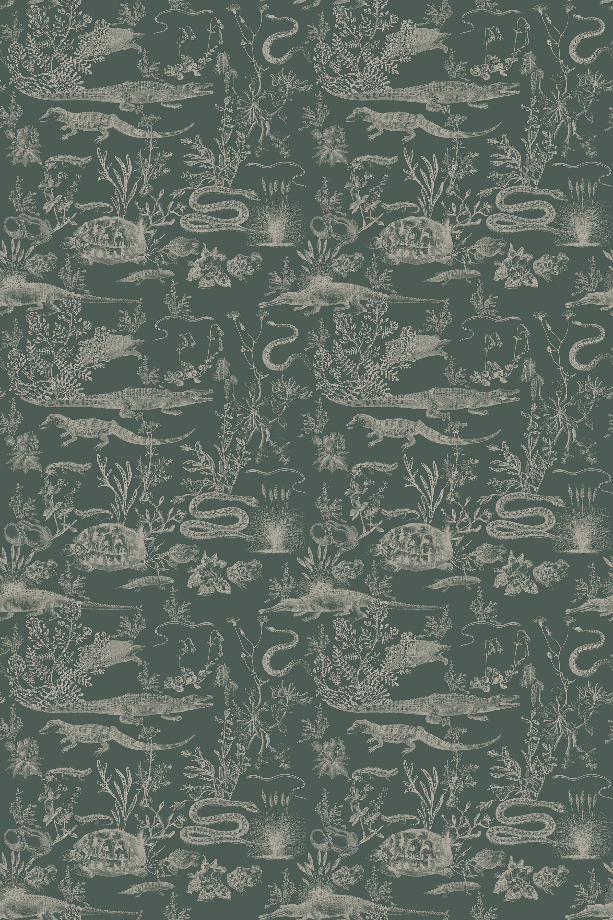 New Orleans Dark / Sage