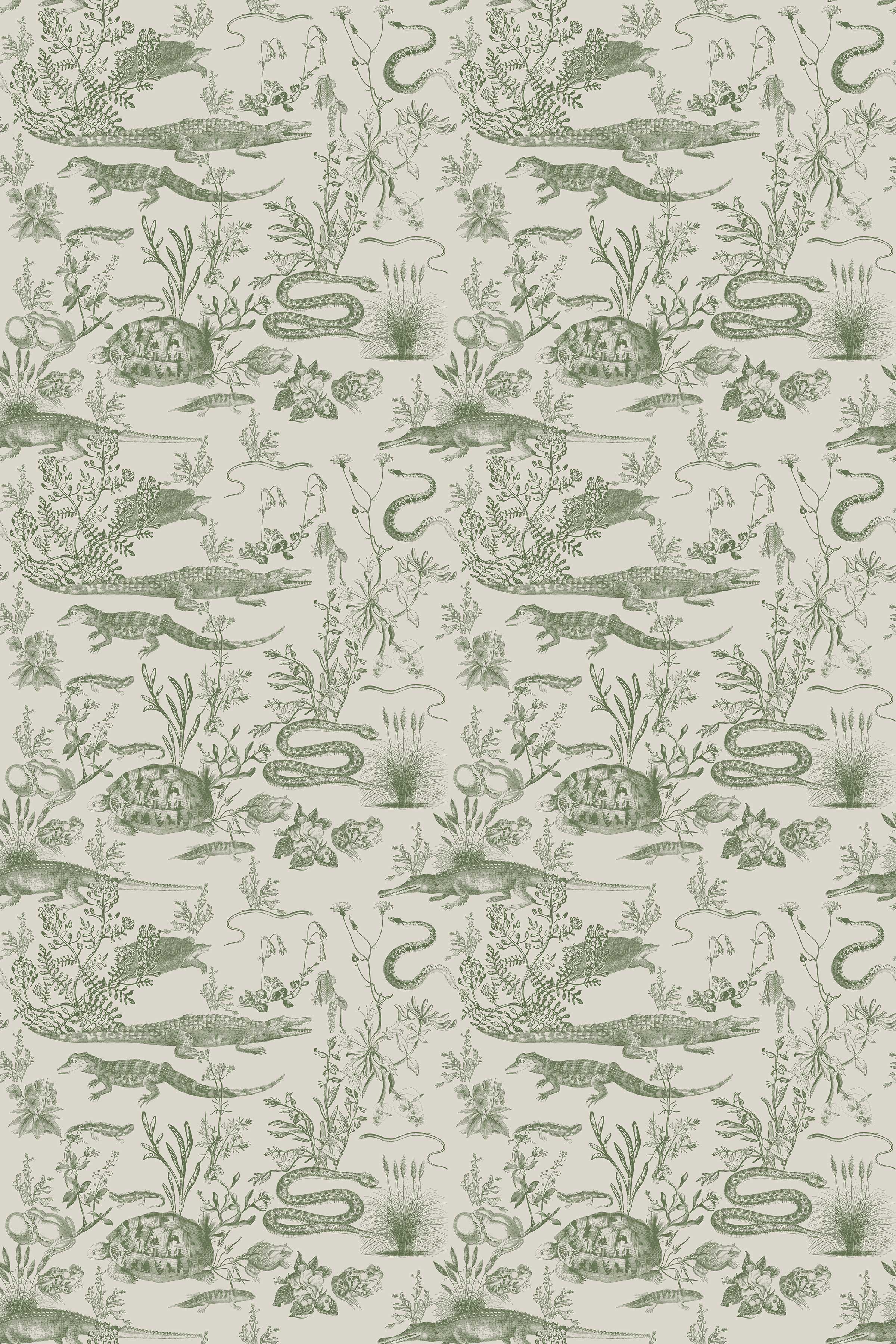 New Orleans Light / Olive