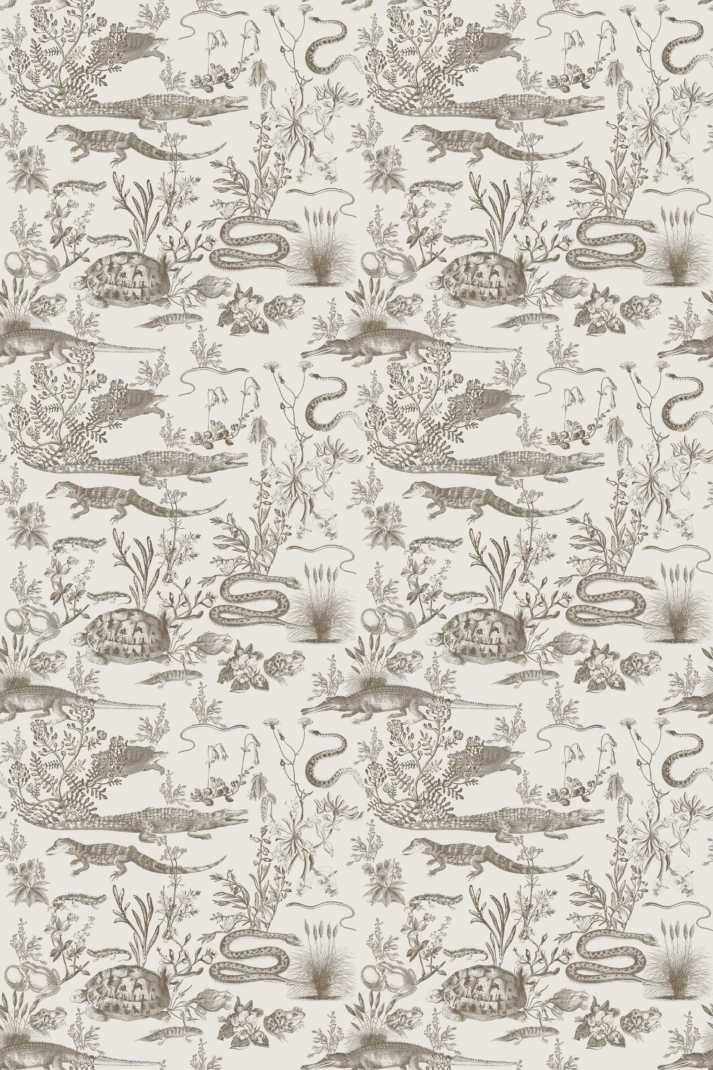 New Orleans Light / Sepia