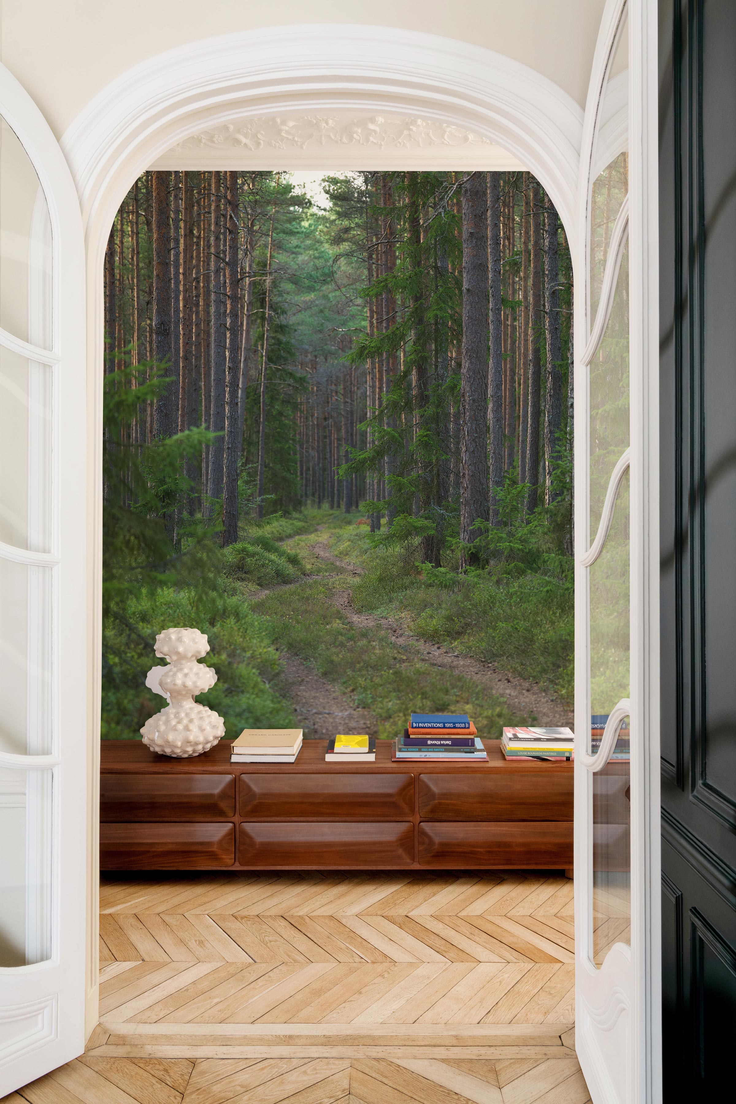 Enchanted Forest Pathway