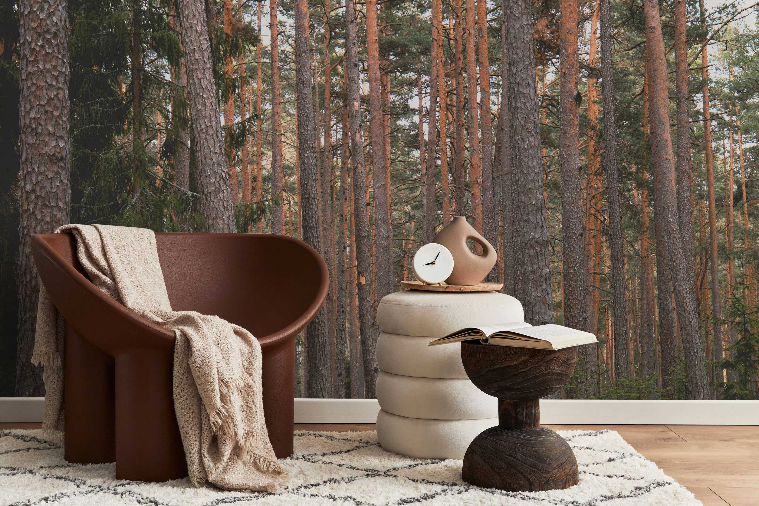 Sun-Kissed Grove Forest Wall Mural