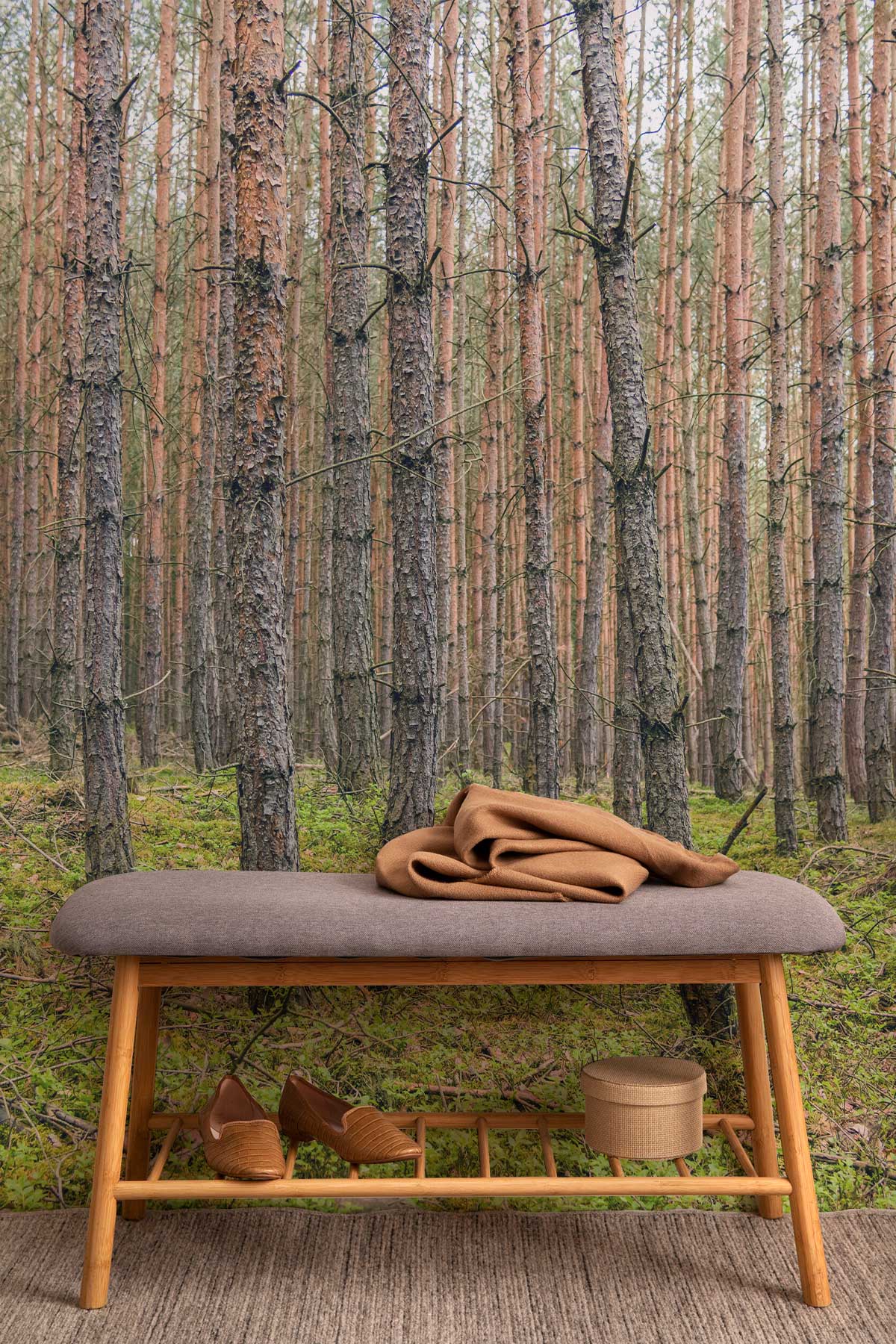 Trunk Haven Forest Wall Mural