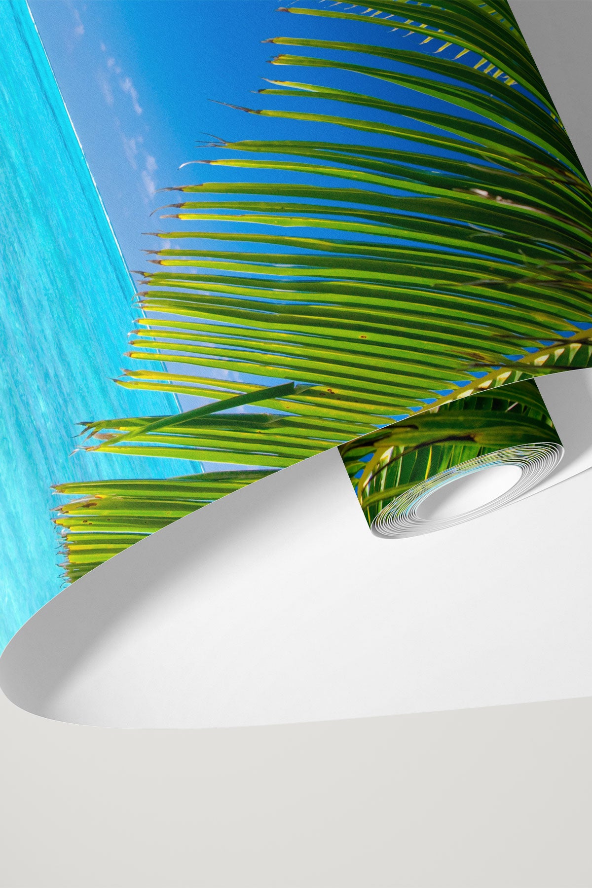 Coconut palm tree leaves Wall Mural