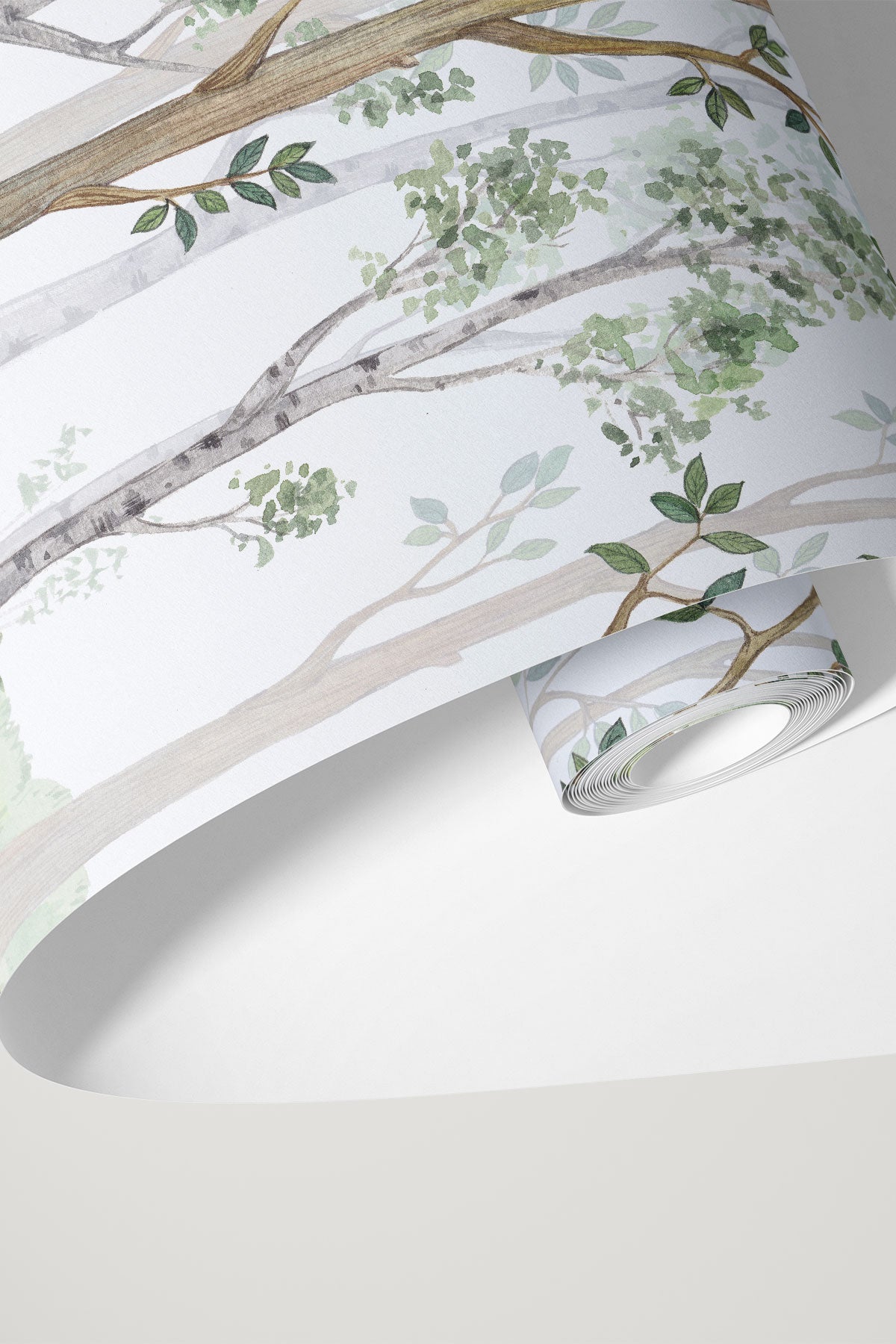 Birch Forest Watercolor