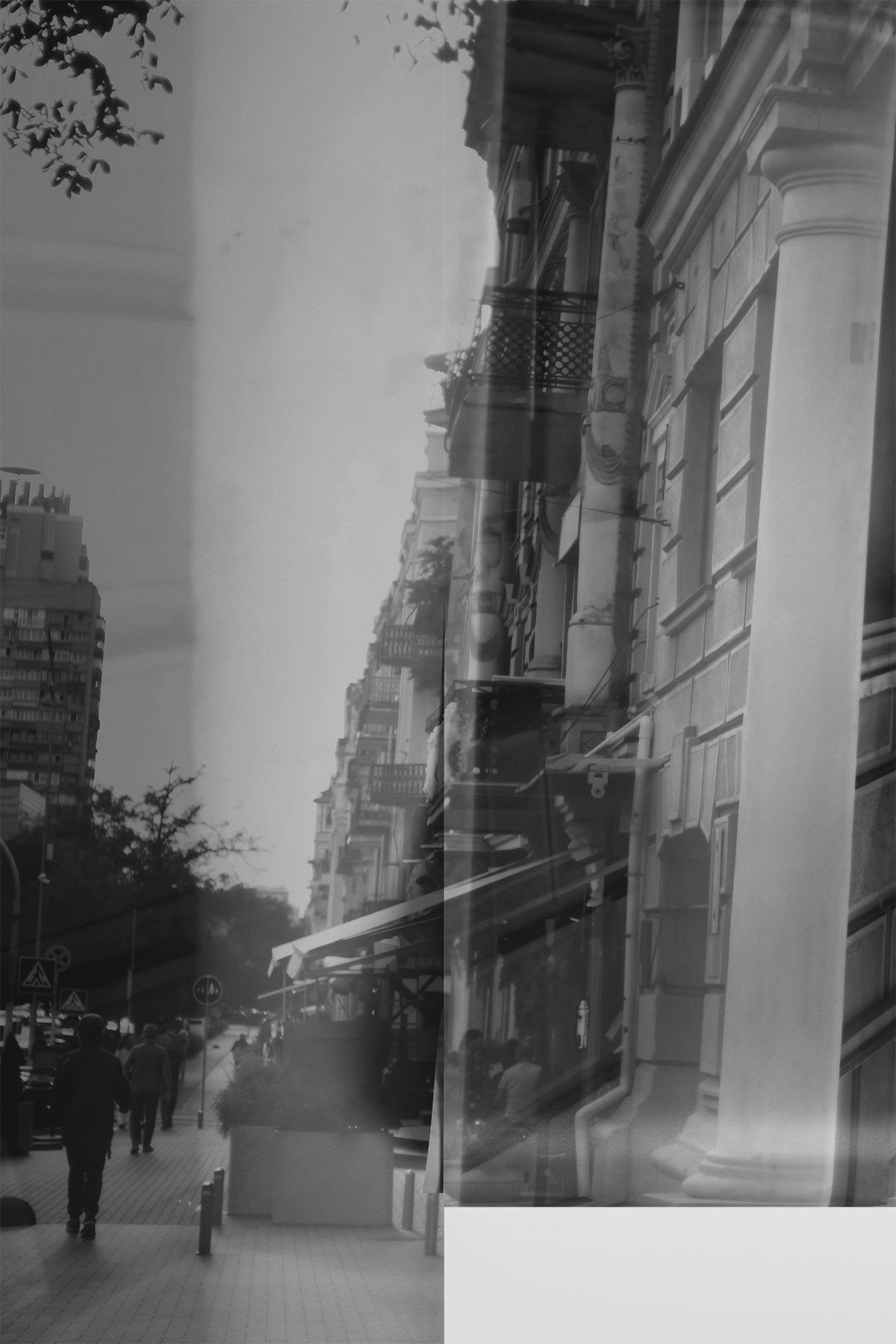 Parallaxis Wall Mural