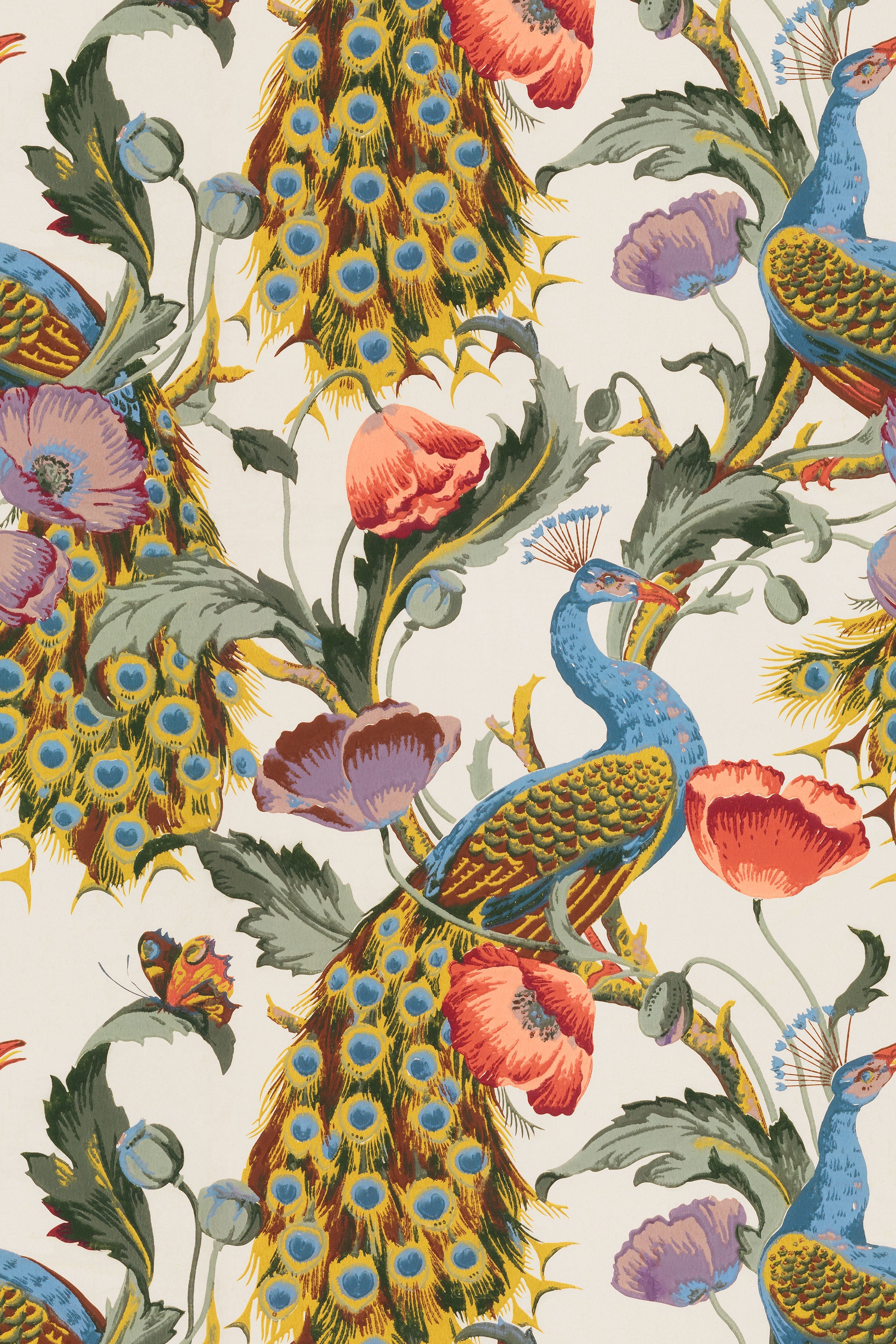 Peacocks / Red