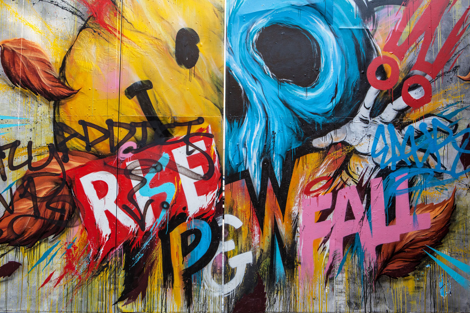Rise & Fall Graffiti Wall Mural – Street Art Murals - Eazywallz