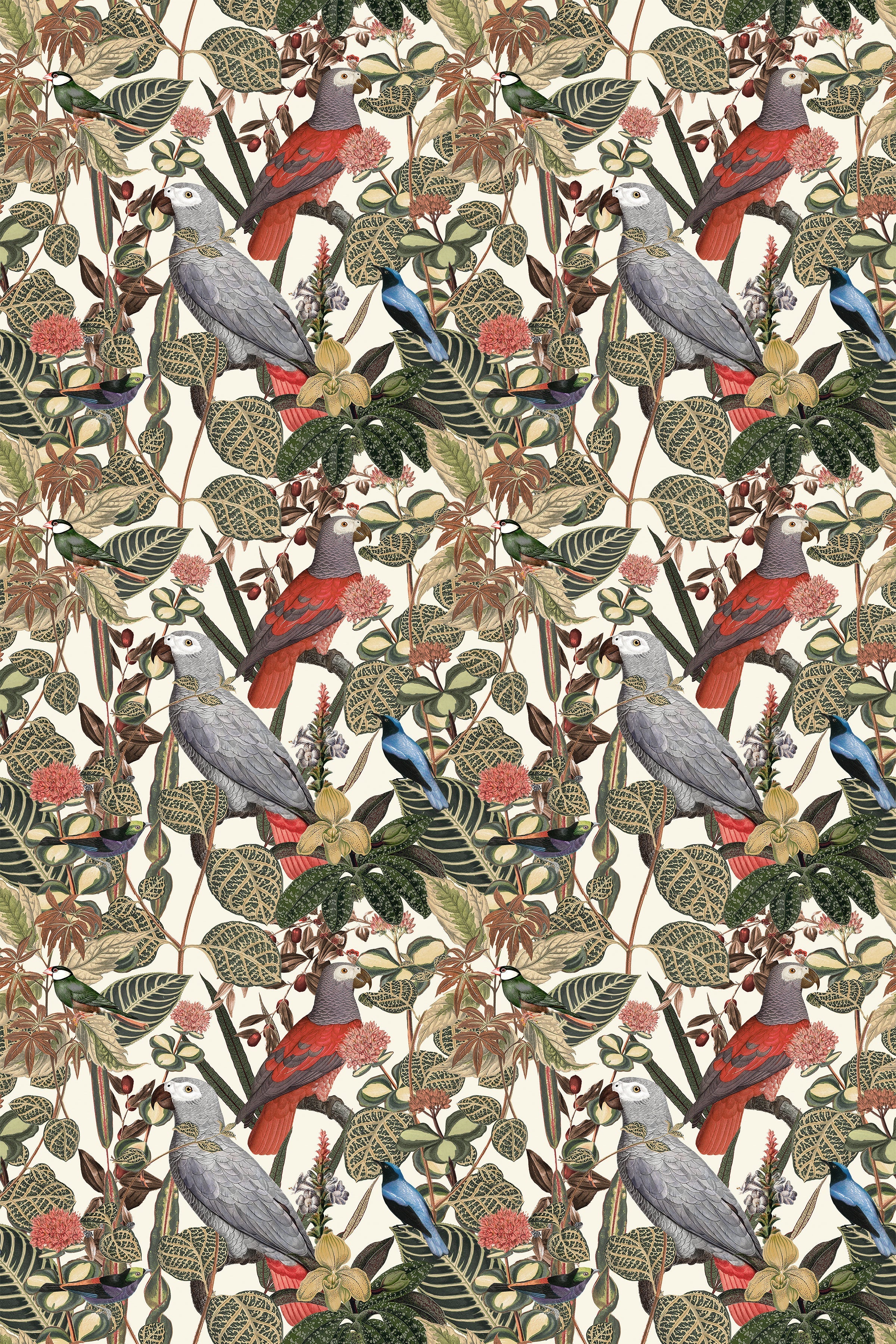 Rainforest of Congo / Cream