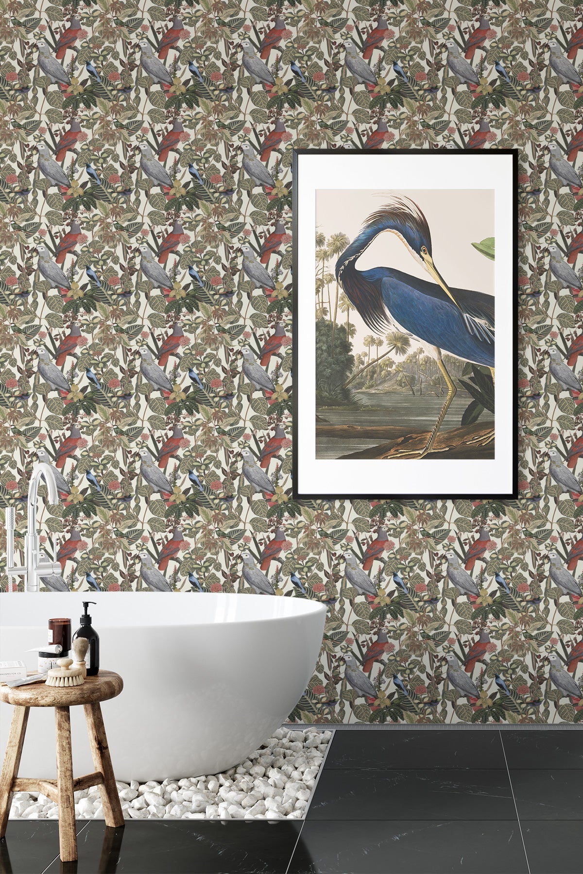 Rainforest of Congo / Cream