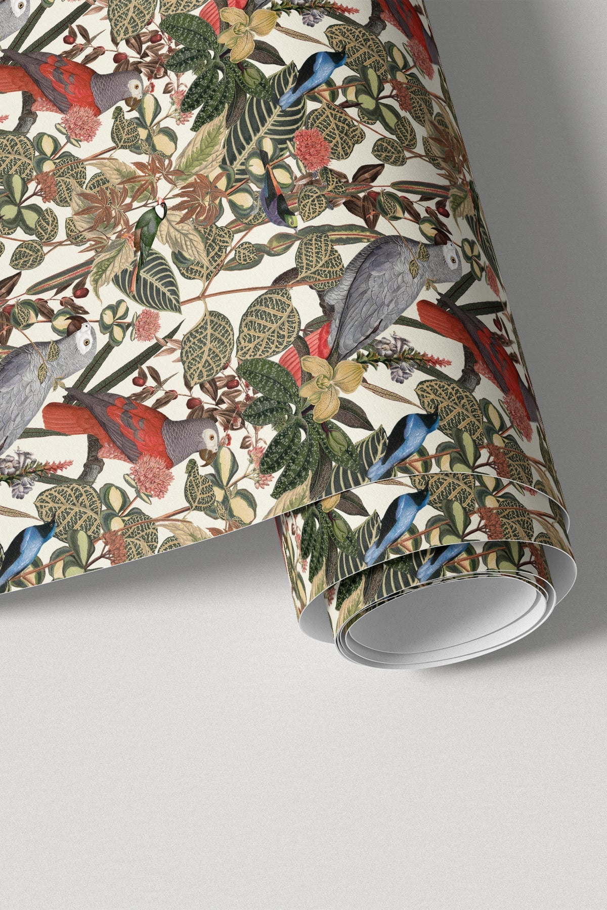 Rainforest of Congo / Cream