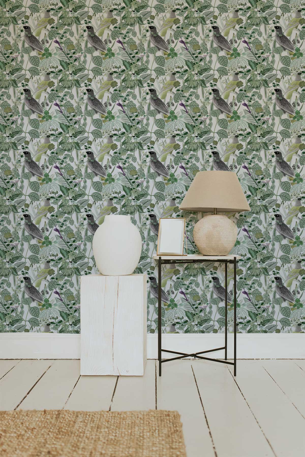 Rainforest of Congo / Green