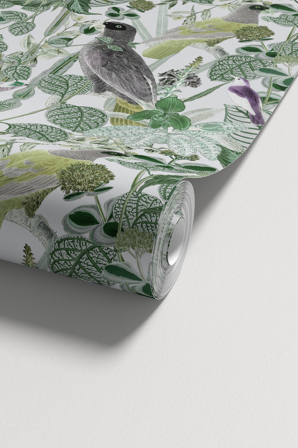 Rainforest of Congo / Green