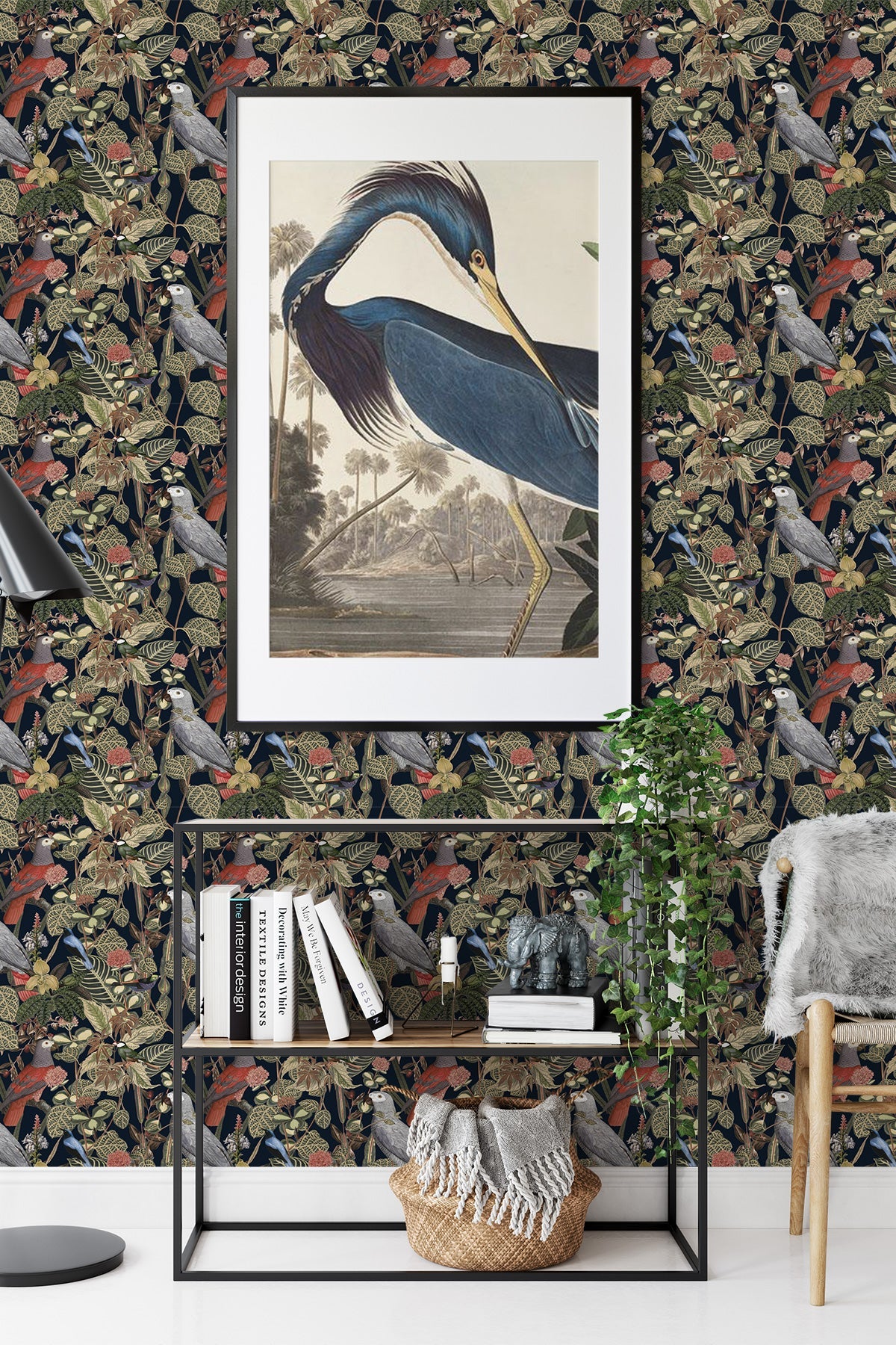 Rainforest of Congo / Navy