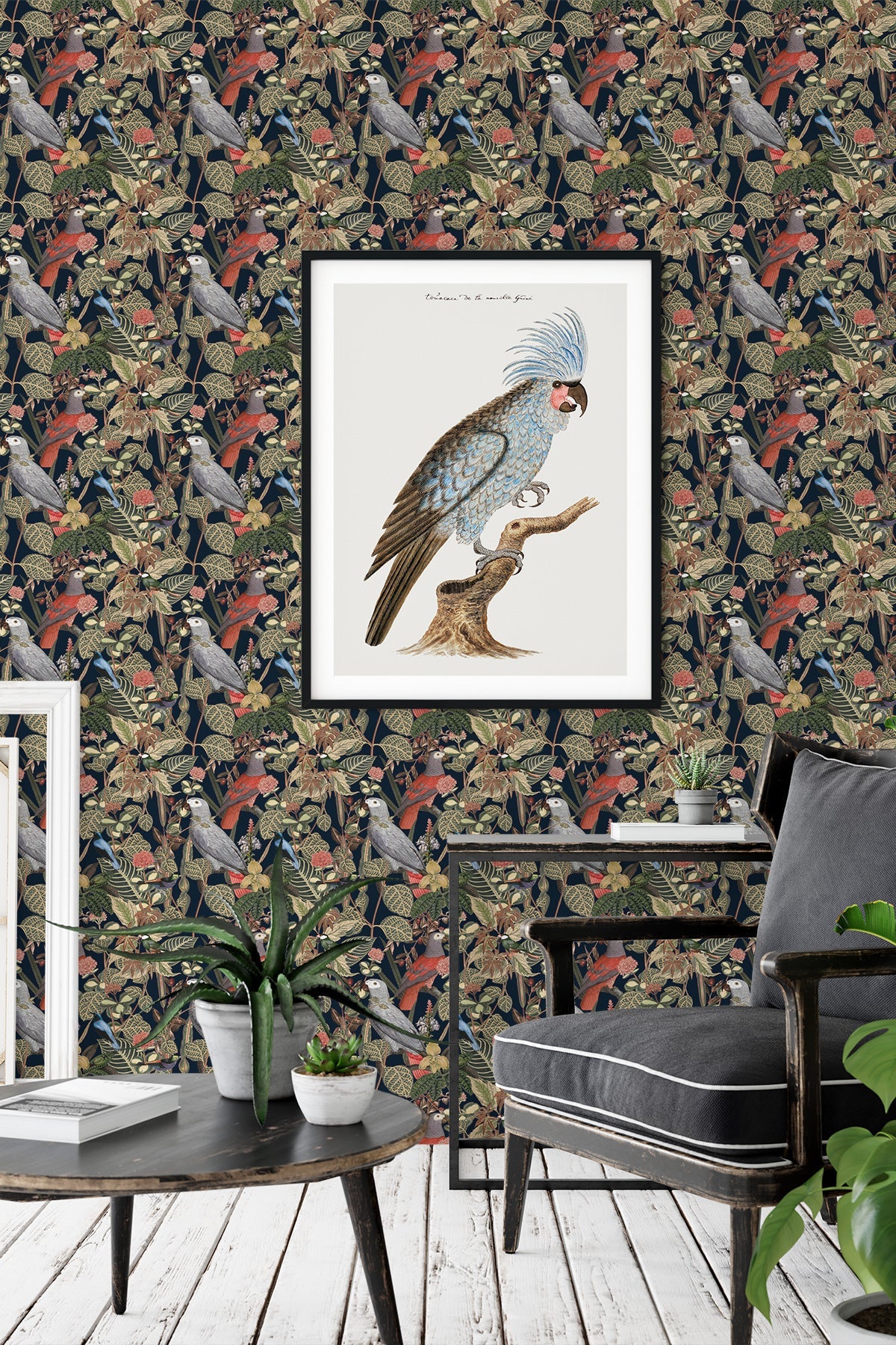 Rainforest of Congo / Navy