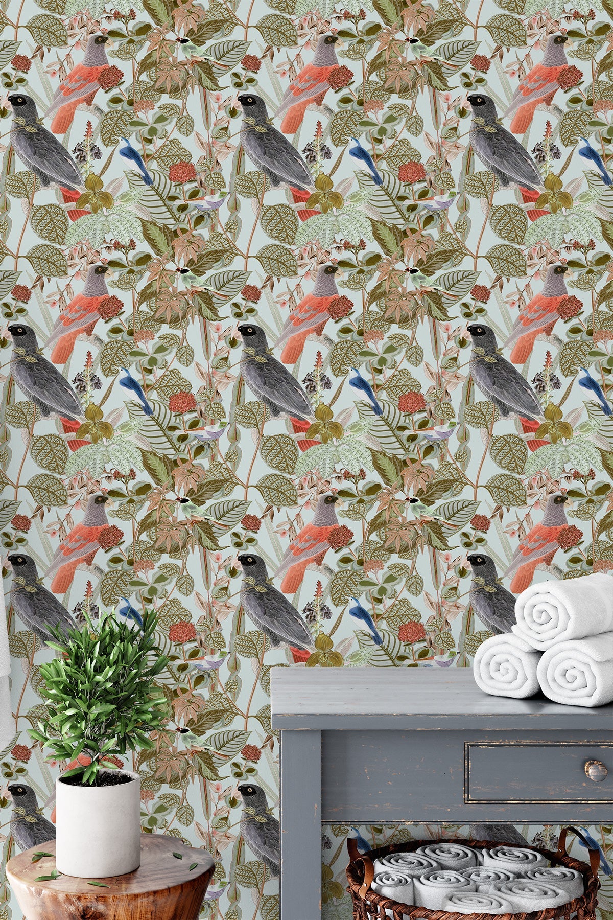 Rainforest of Congo / Sage