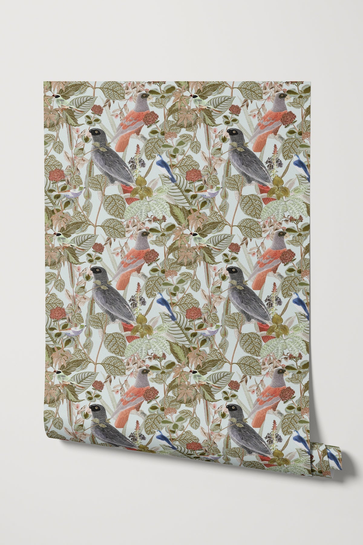 Rainforest of Congo / Sage