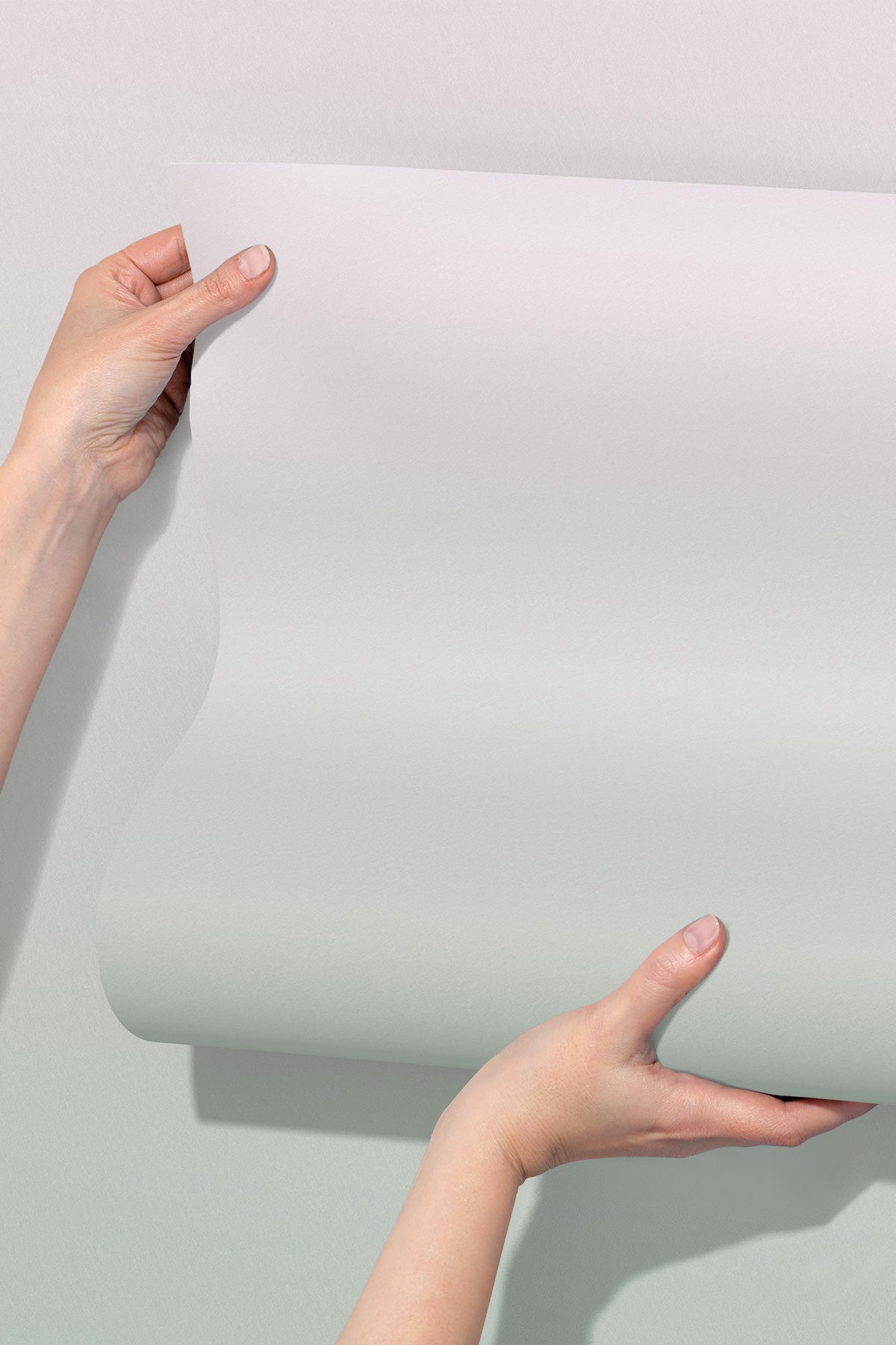 Closeup of Spring Sage Wallpaper