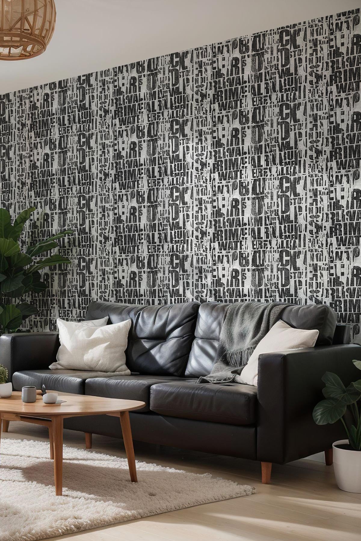 Street Script / Black and White