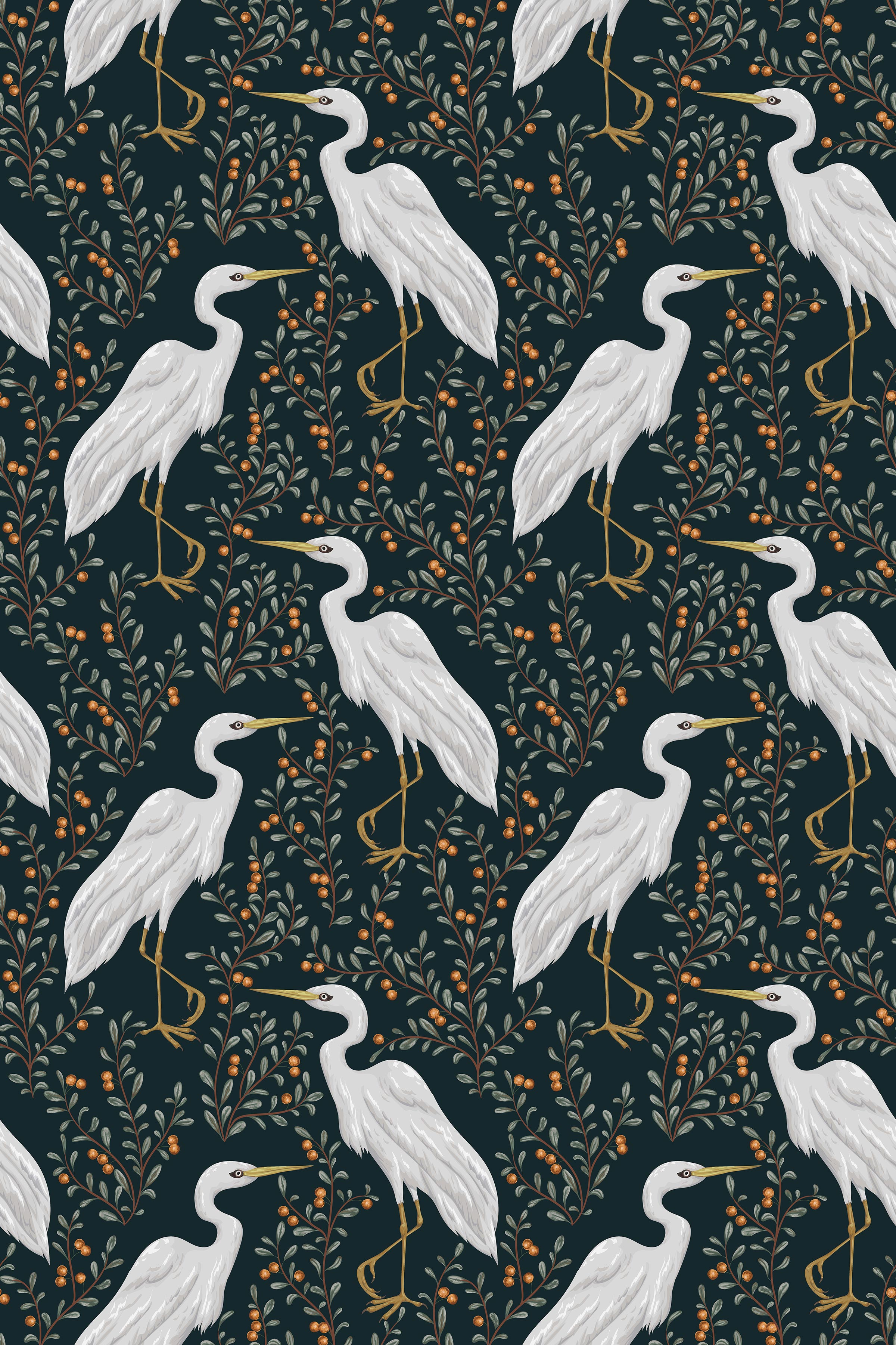 Cranes / Navy