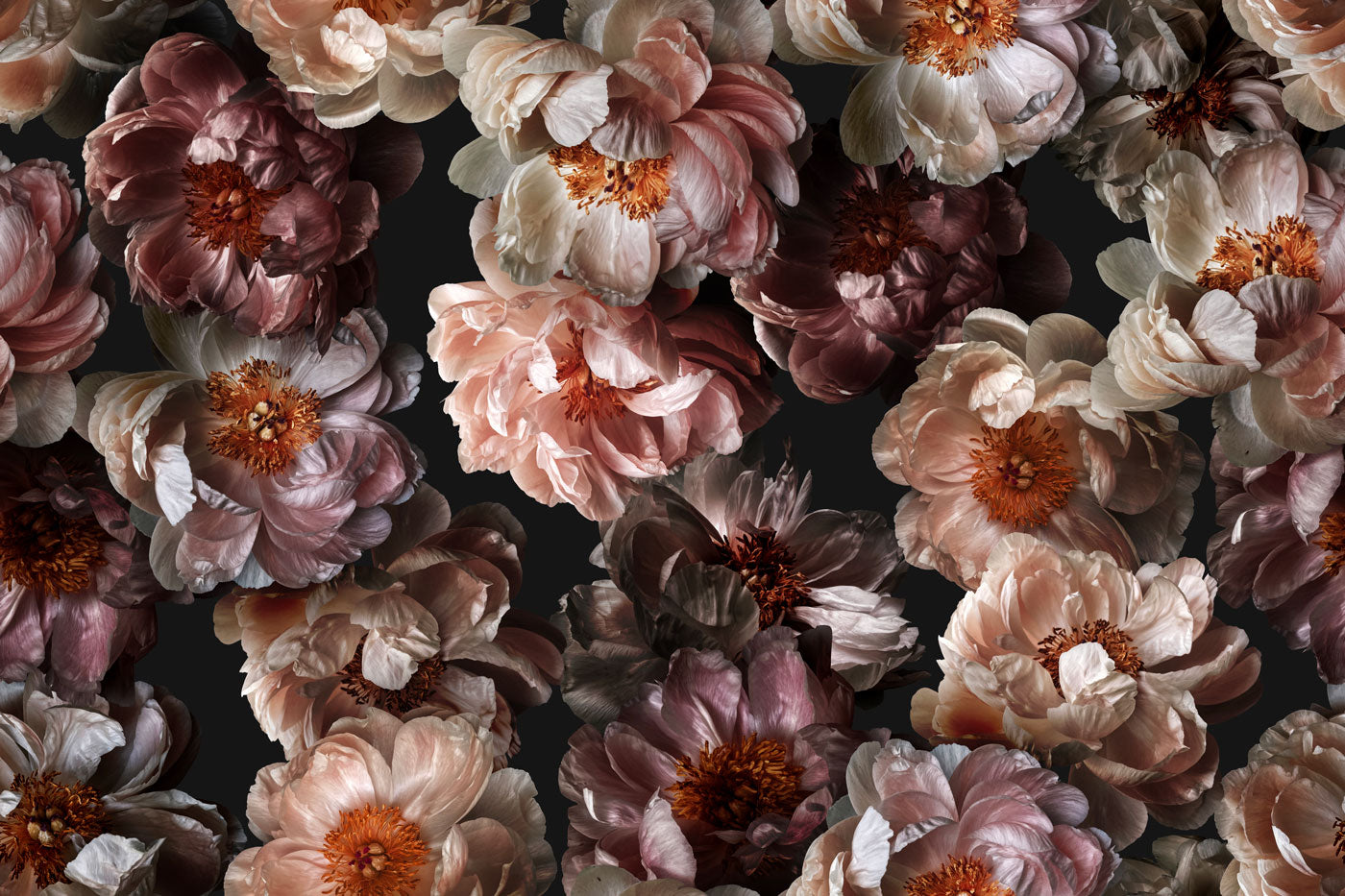 Midnight Floral Vol 1 Wall Mural | Dark Floral Wall Mural | Eazywallz Midnight Floral Vol 1 Wall Mural | Dark Floral Wall Mural | Eazywallz