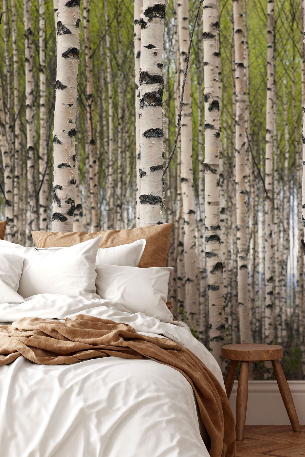 Grove of Birch Trees Wall Mural