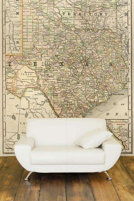 1889 Map of Texas Wall Mural-Wall Mural-Eazywallz