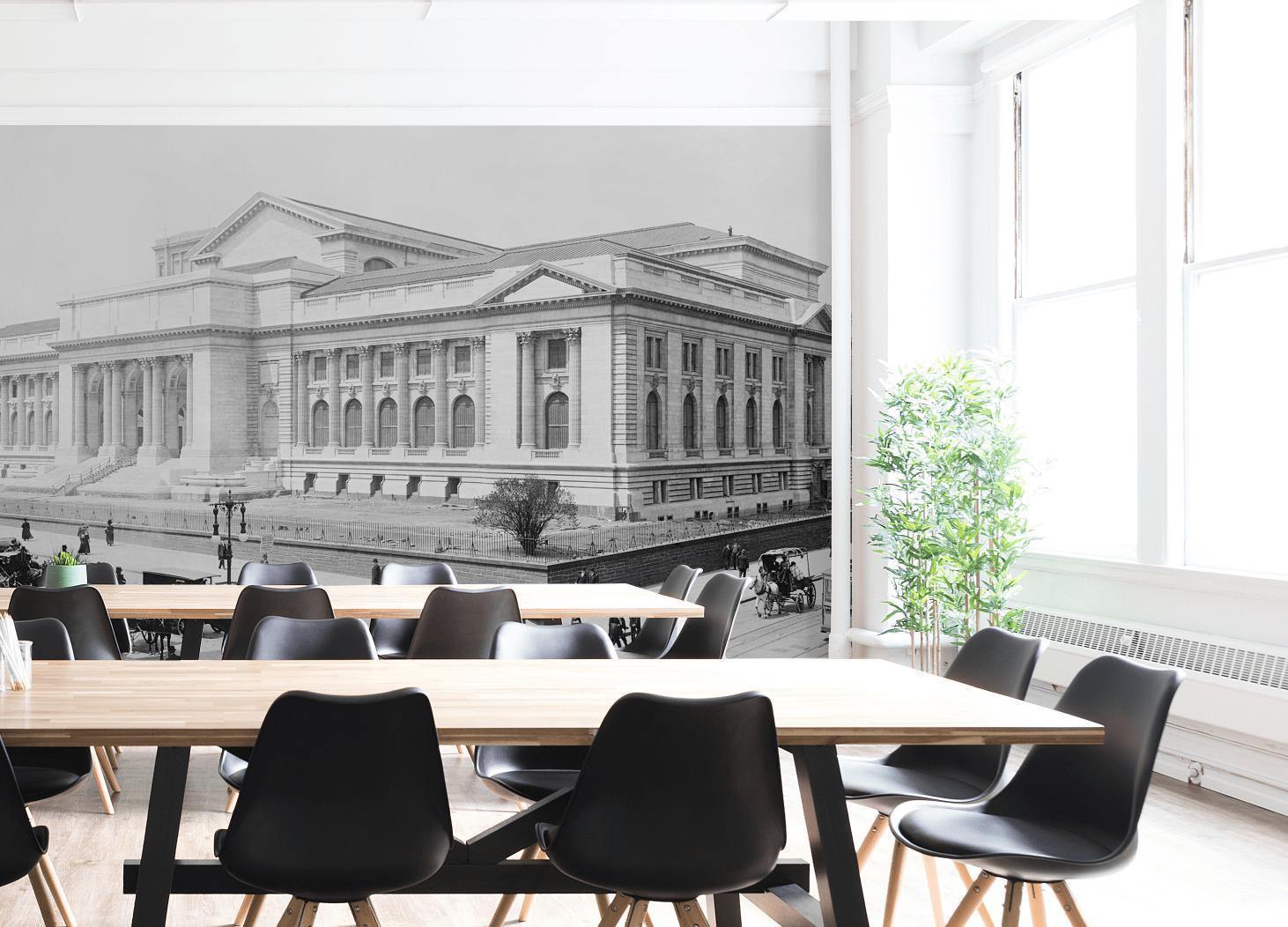 1908 New York Public Library Wall Mural-Wall Mural-Eazywallz