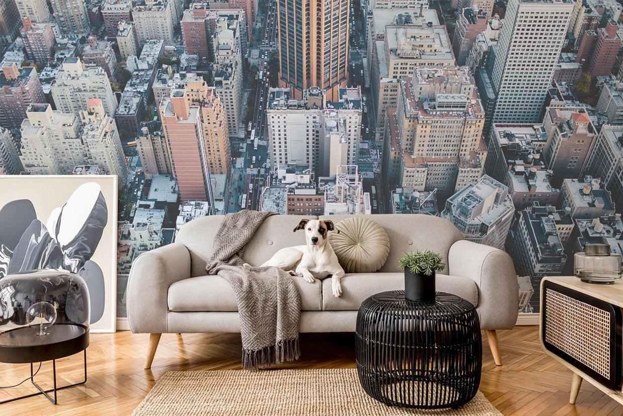 Aerial View of the Metropolitan Wall Mural-Wall Mural-Eazywallz