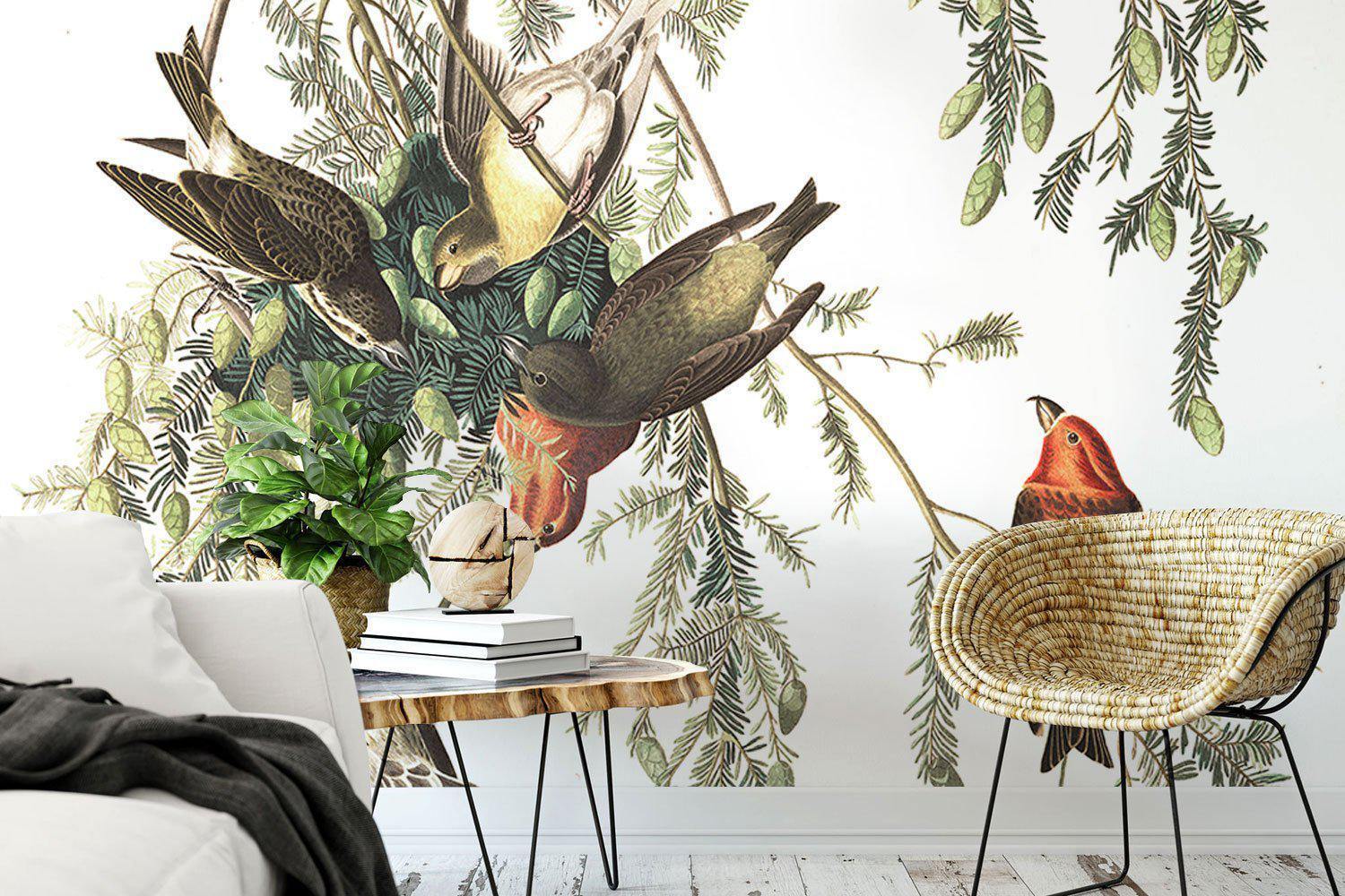 American Crossbill Birds Wall Mural-Wall Mural-Eazywallz