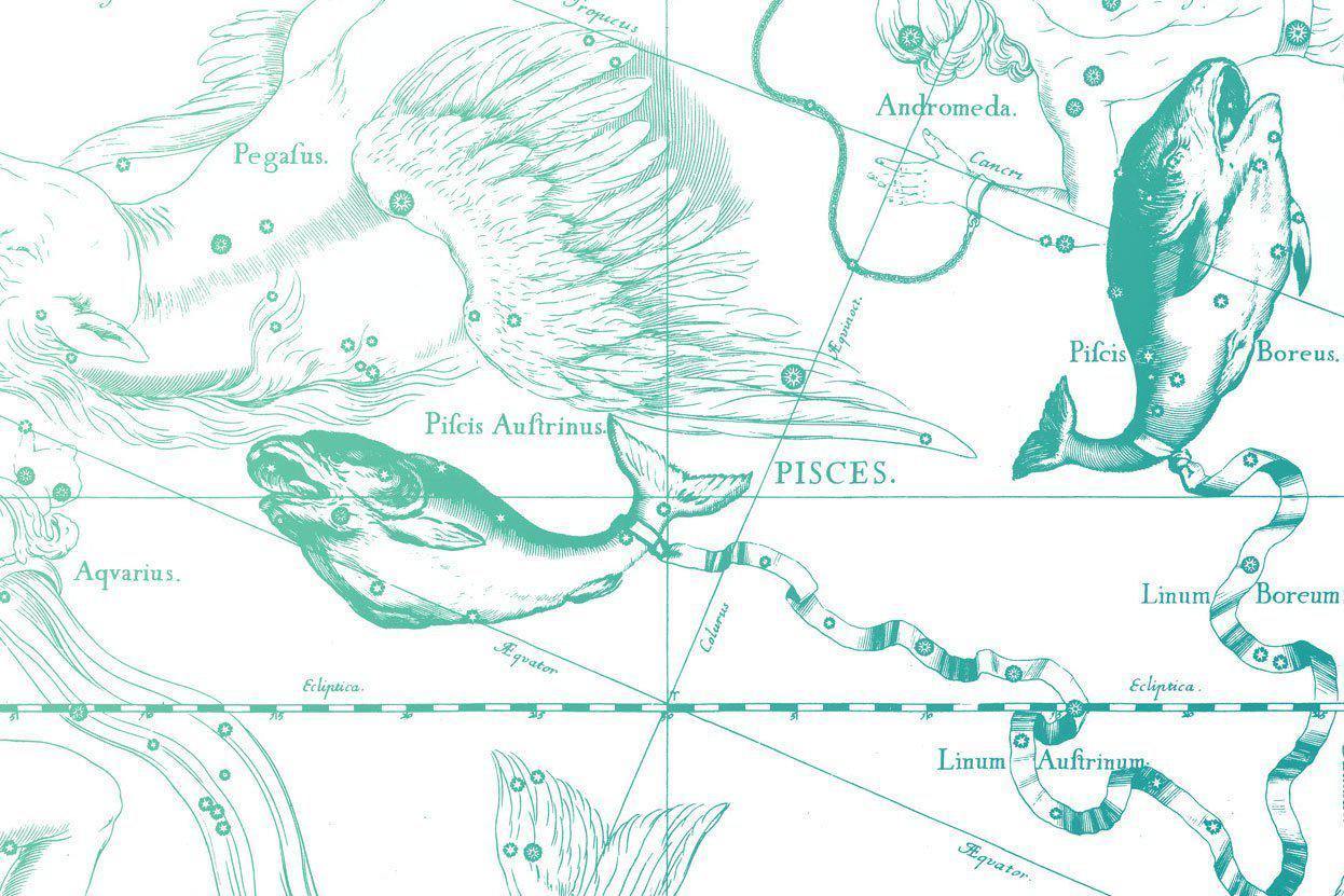 Aqua Pisces Astrology Wall Mural-Wall Mural-Eazywallz