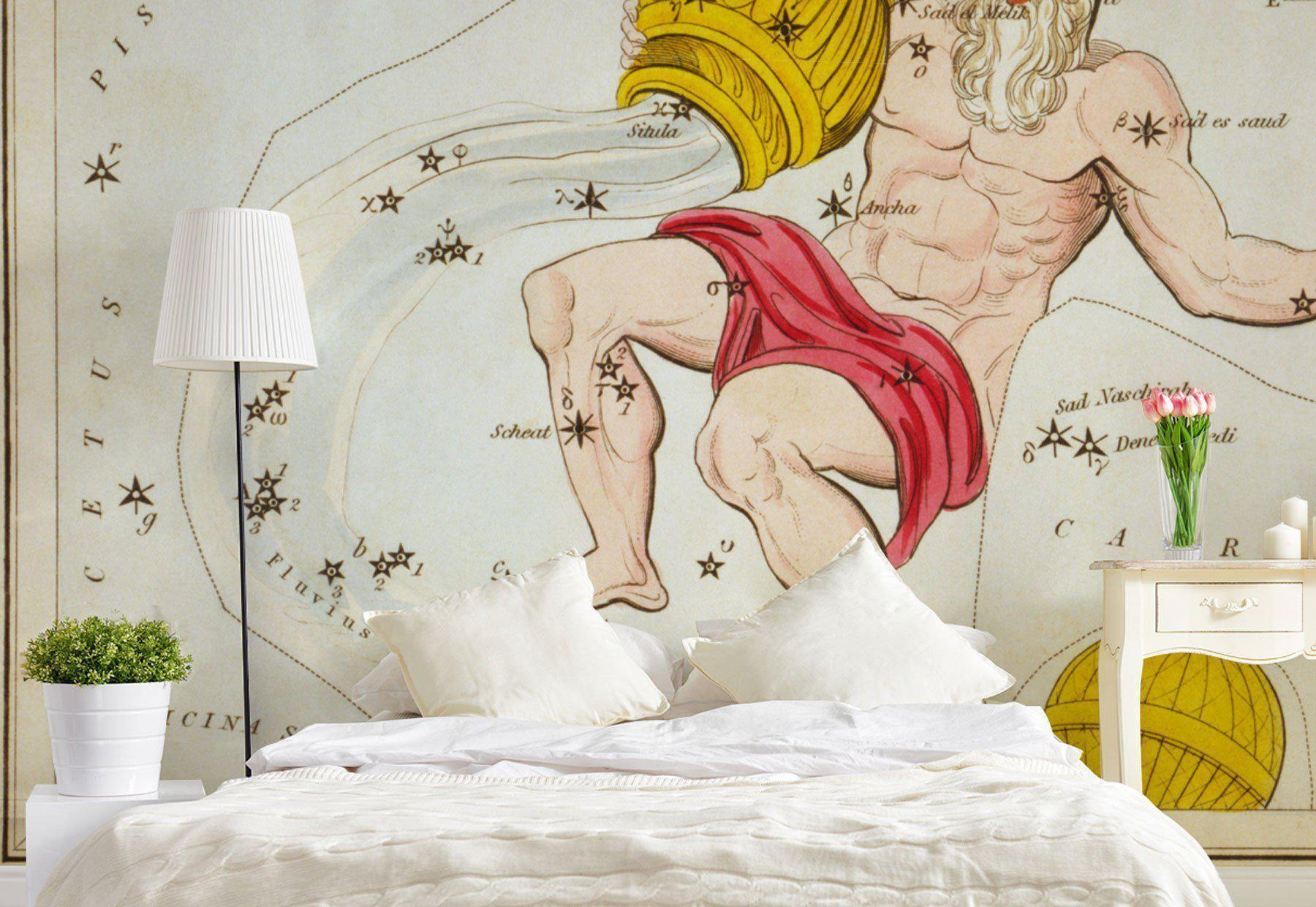 Aquarius Wall Mural-Wall Mural-Eazywallz