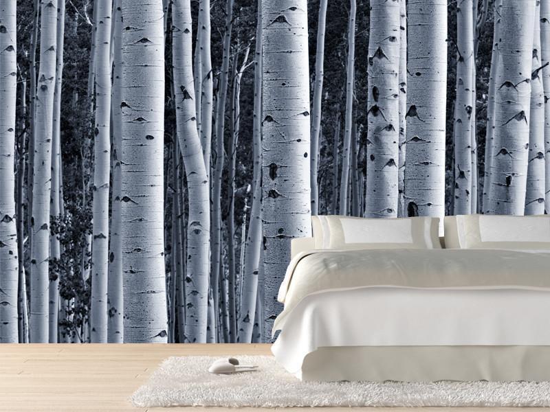Aspen Birch Forest Wall Mural-Wall Mural-Eazywallz